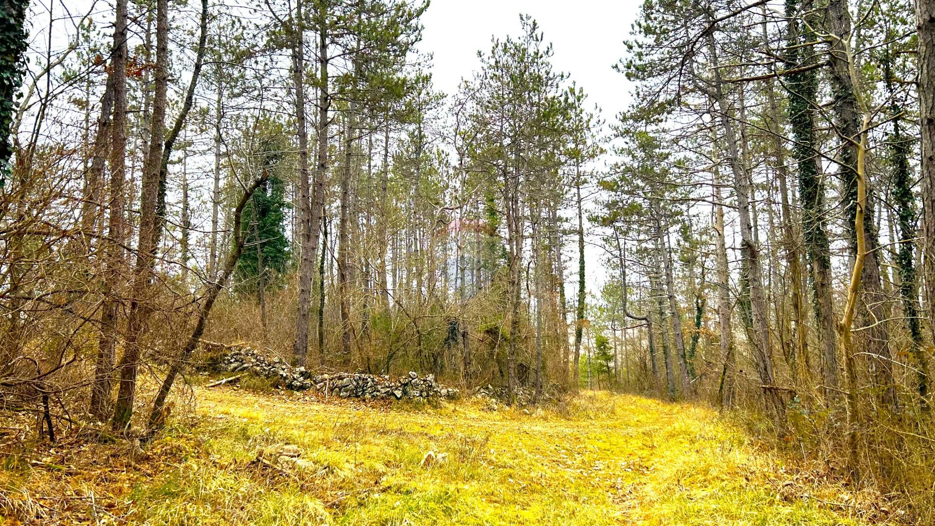 Tierra en Završje, Istarska županija 12558412