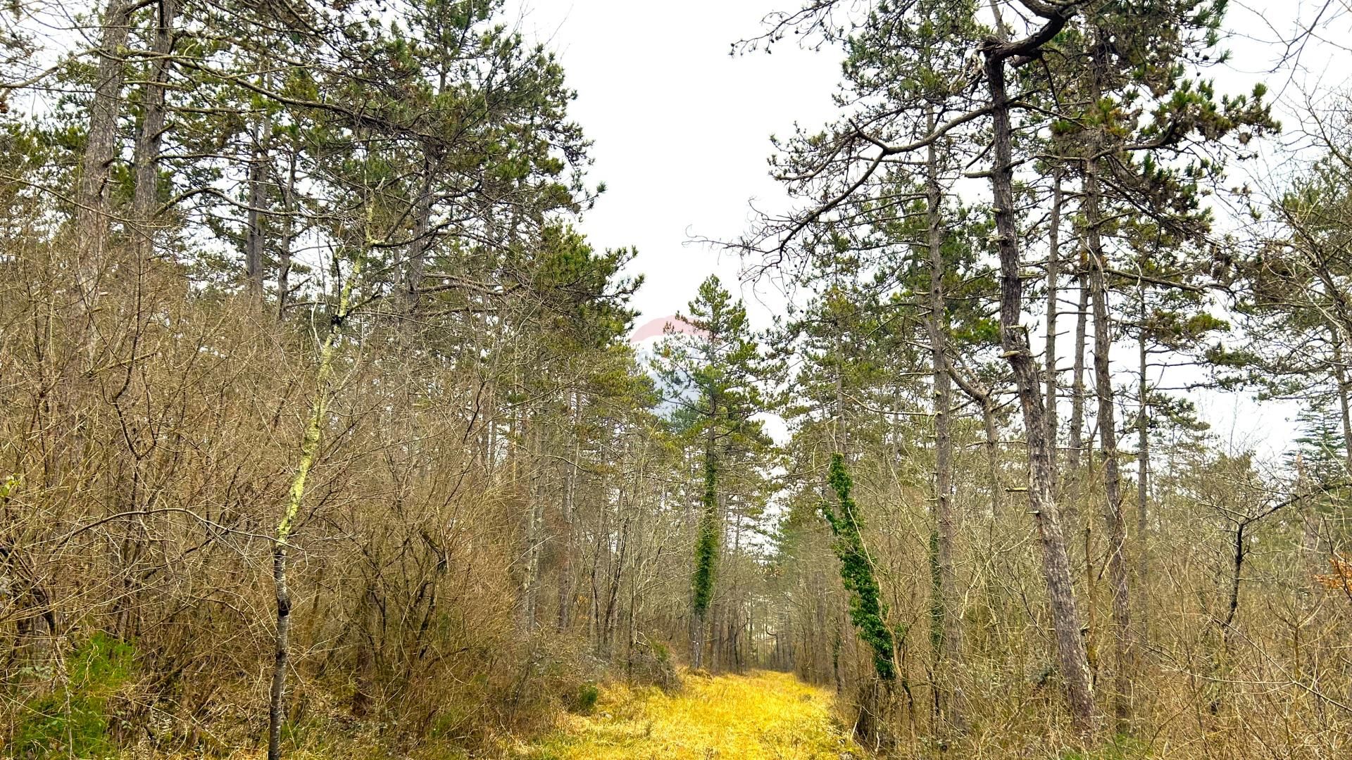 Tierra en Završje, Istarska županija 12558412