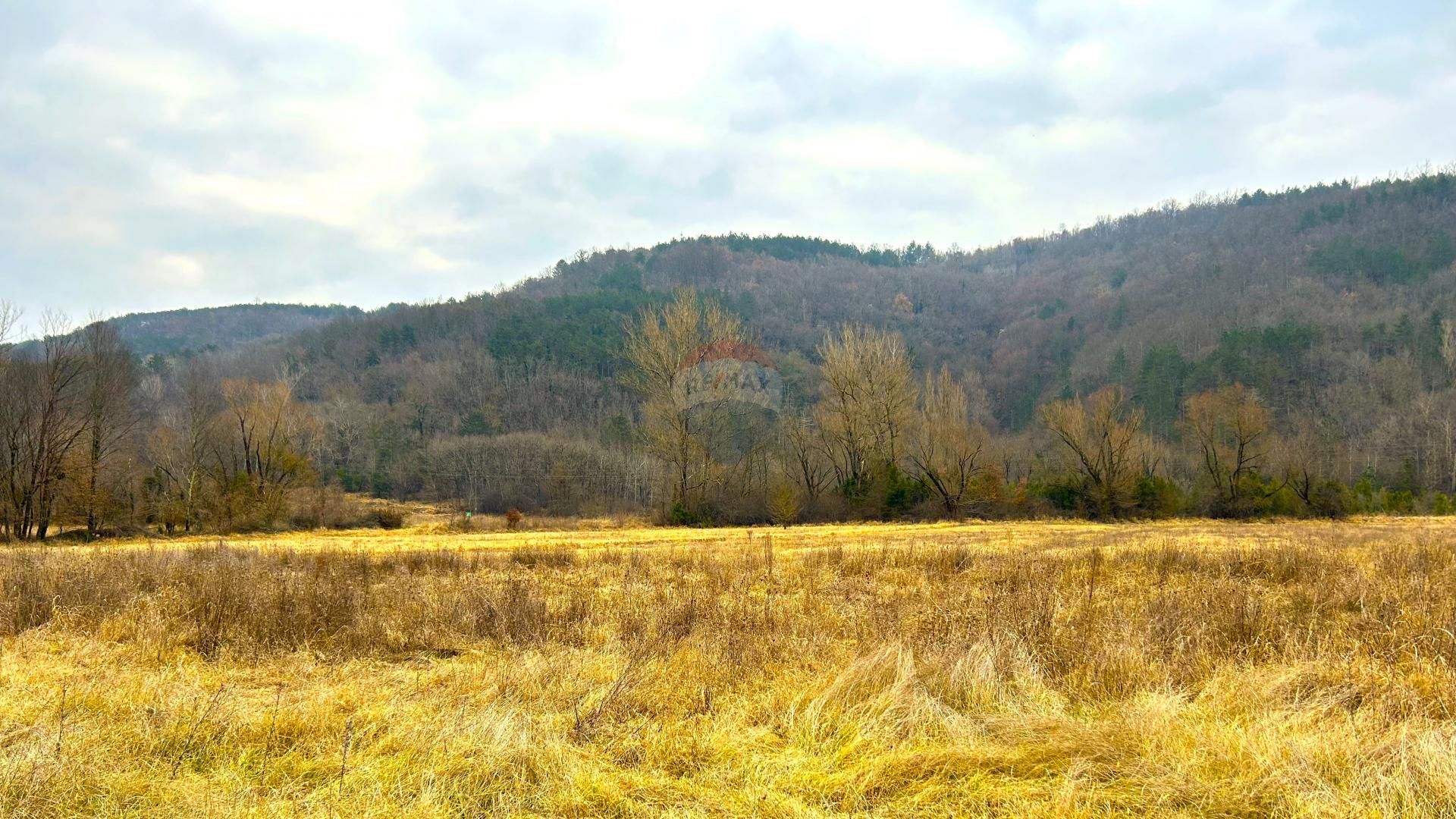 Tanah di Vizinada, Istarska Zupanija 12558414