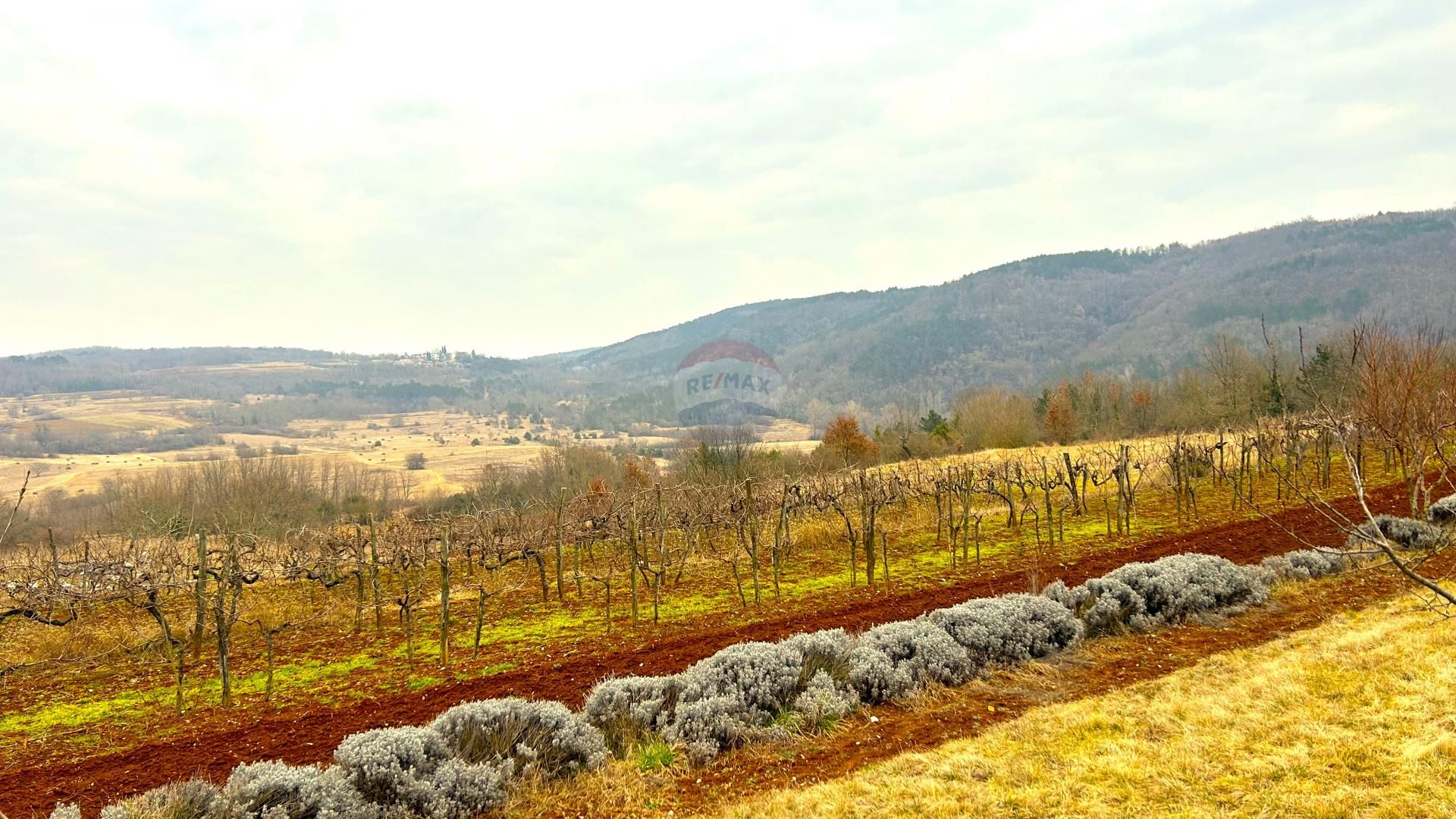 Terre dans Vizinada, Istarska Zupanija 12558415