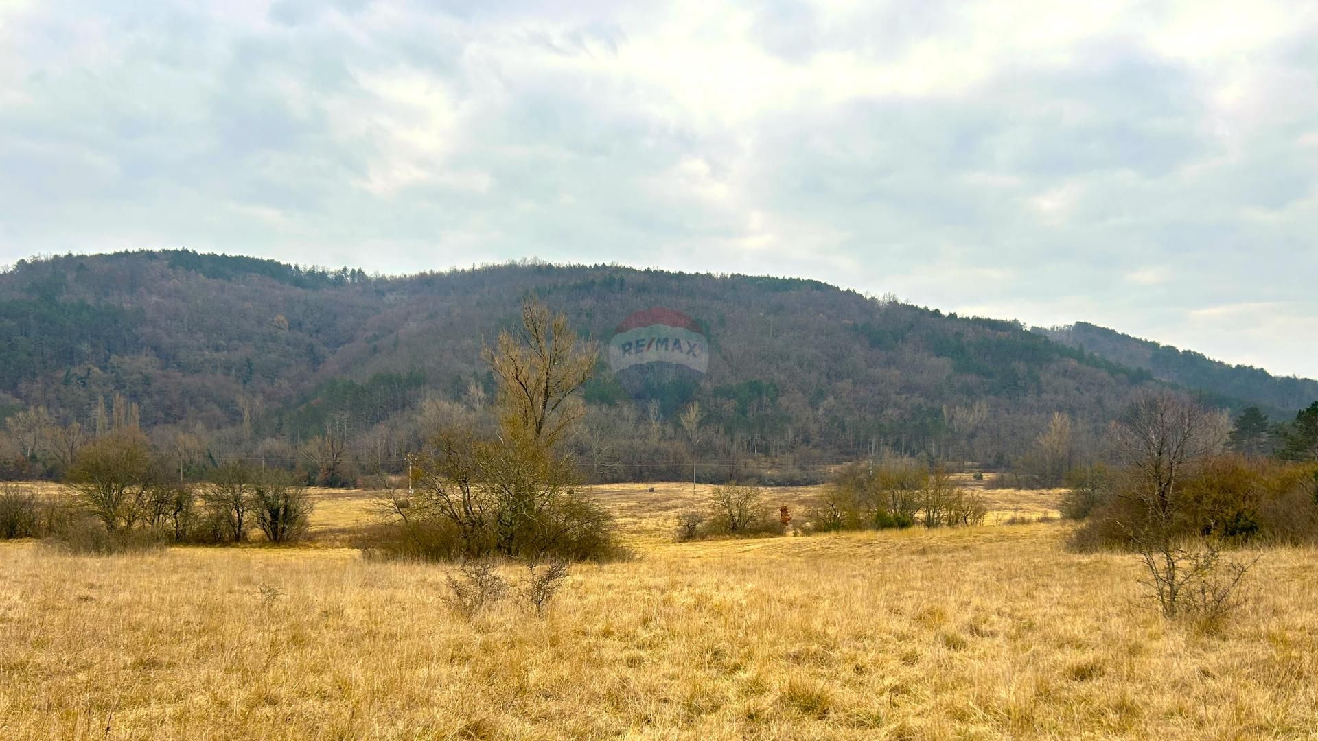 Tanah di Vizinada, Istarska Zupanija 12558415