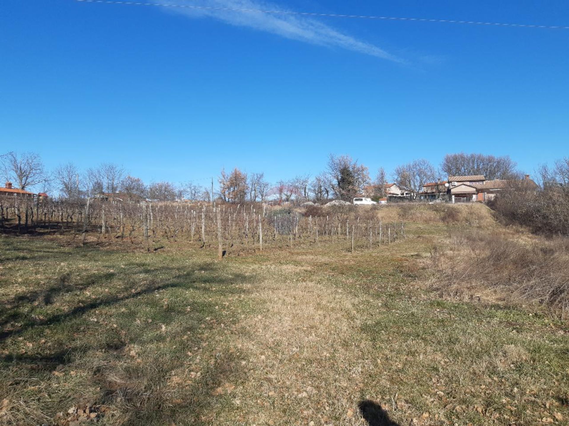 Land in Novaki Motovunski, Istarska županija 12558422