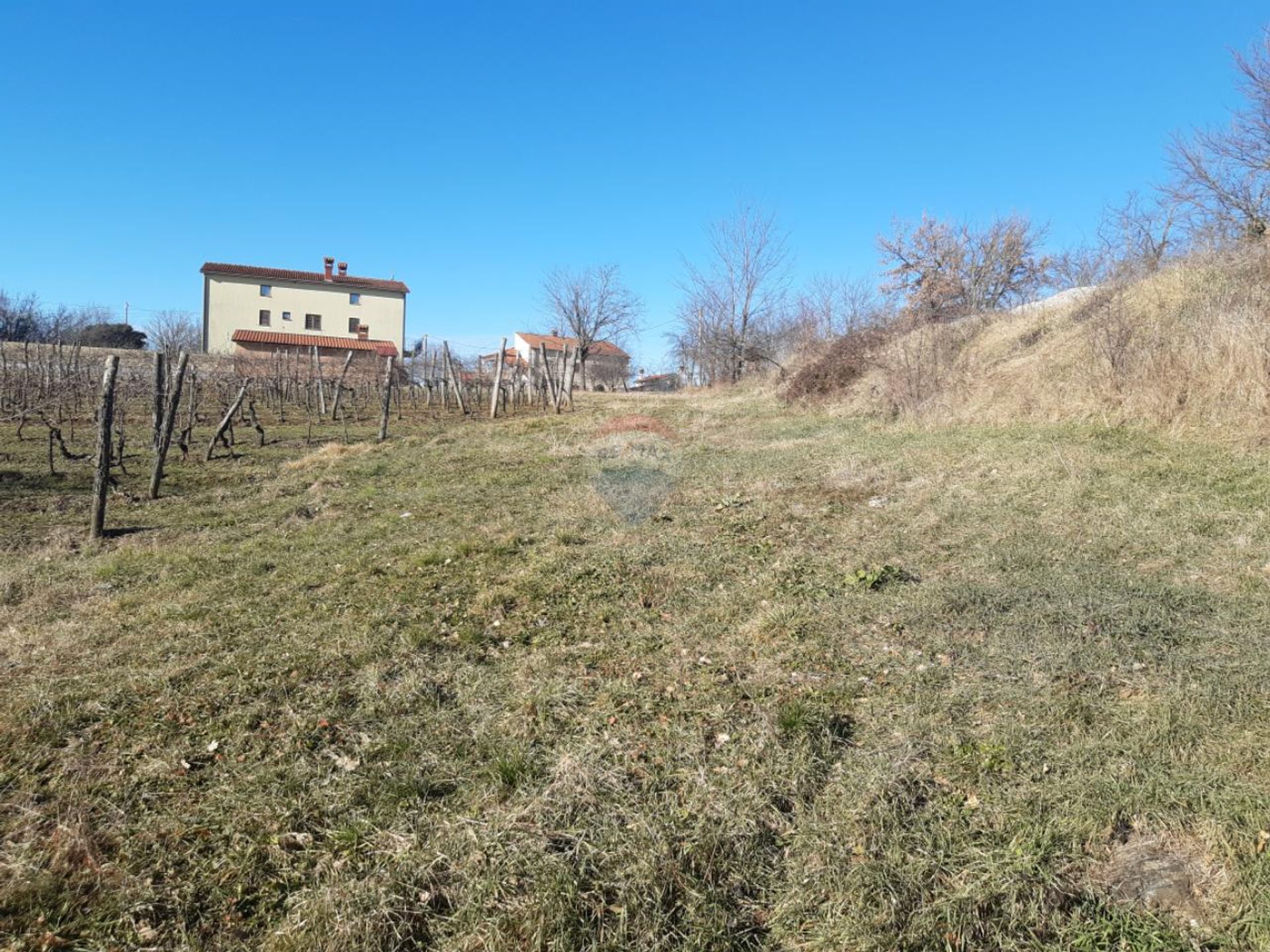 Land in Novaki Motovunski, Istarska županija 12558422