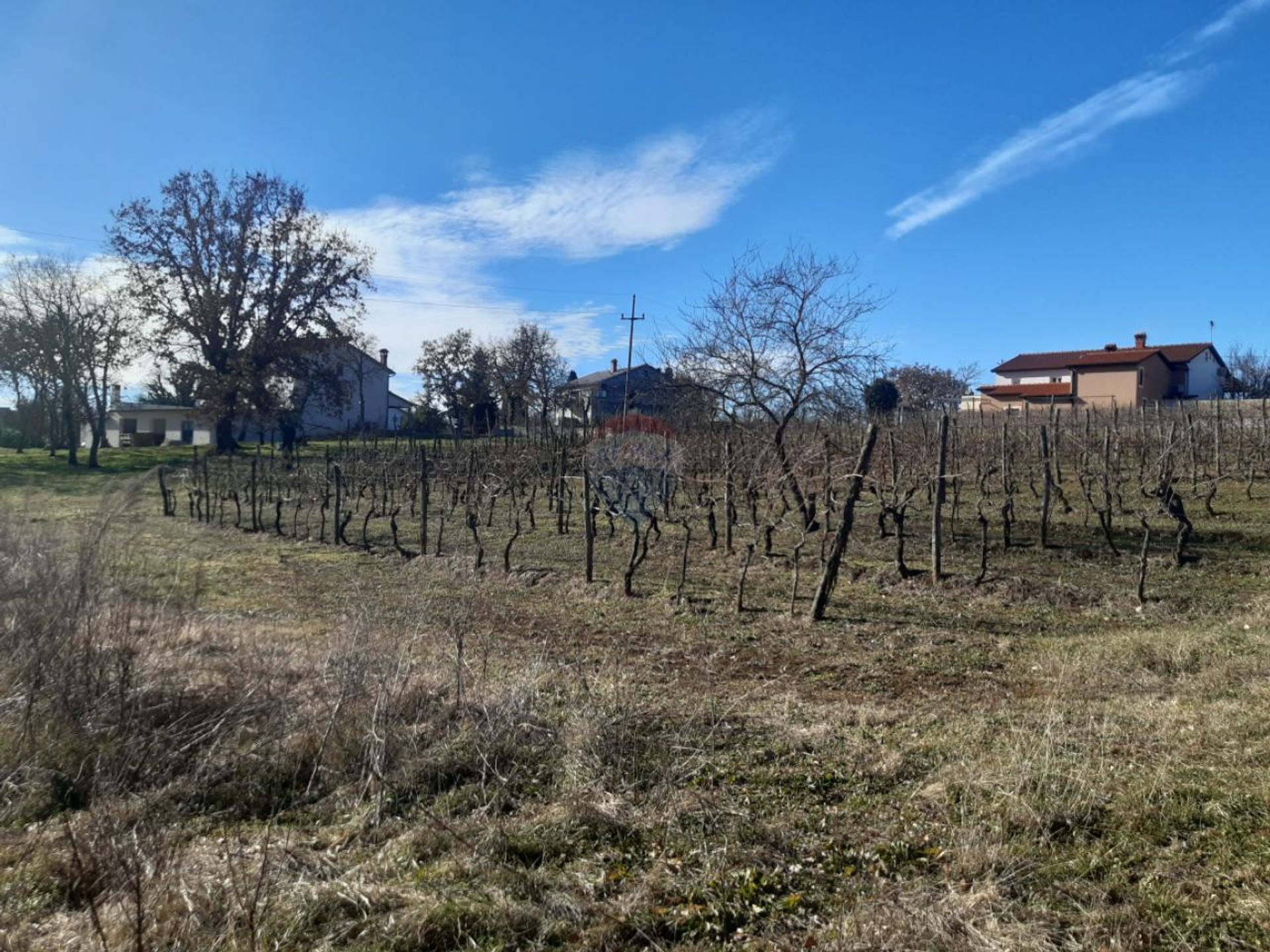 Land in Novaki Motovunski, Istarska županija 12558422