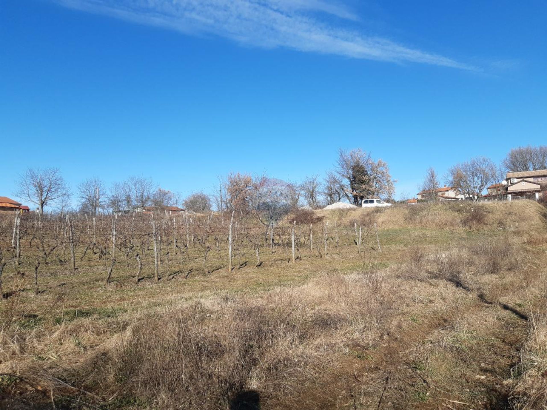 Land in Novaki Motovunski, Istarska županija 12558422