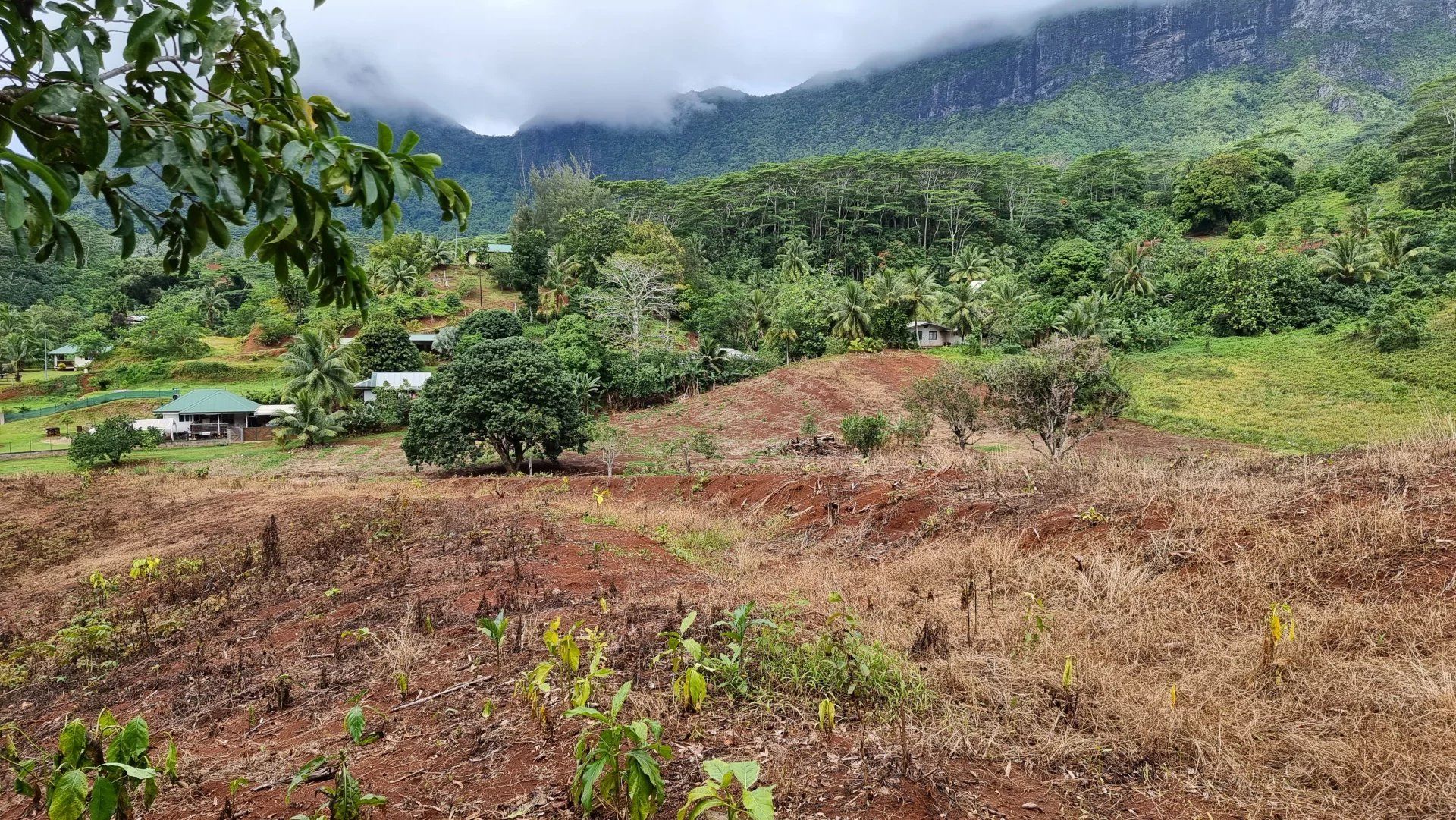 Tierra en Moorea-Maiao, Îles du Vent 12558669