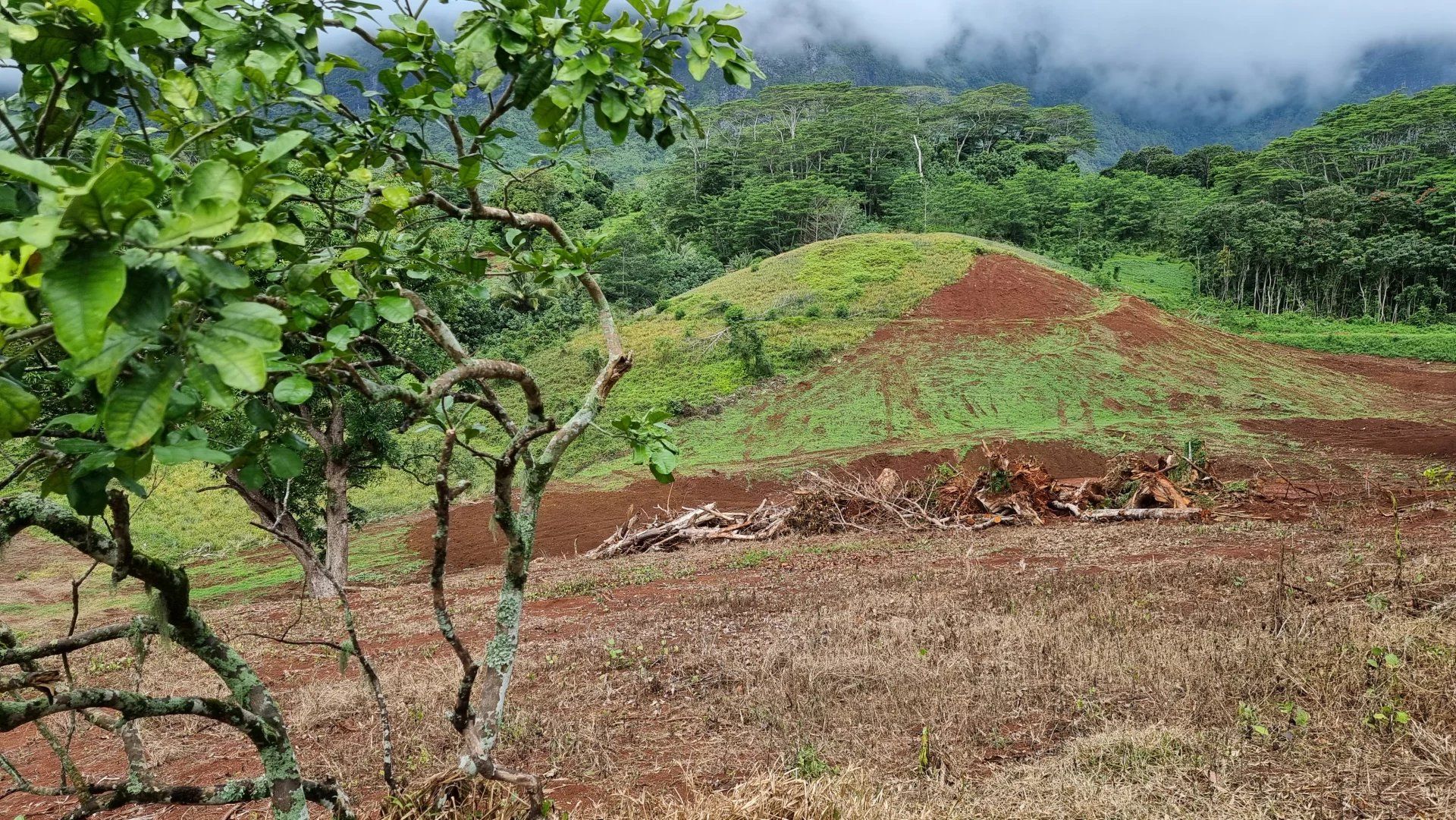 Terre dans Papeete, Iles du Vent 12558670