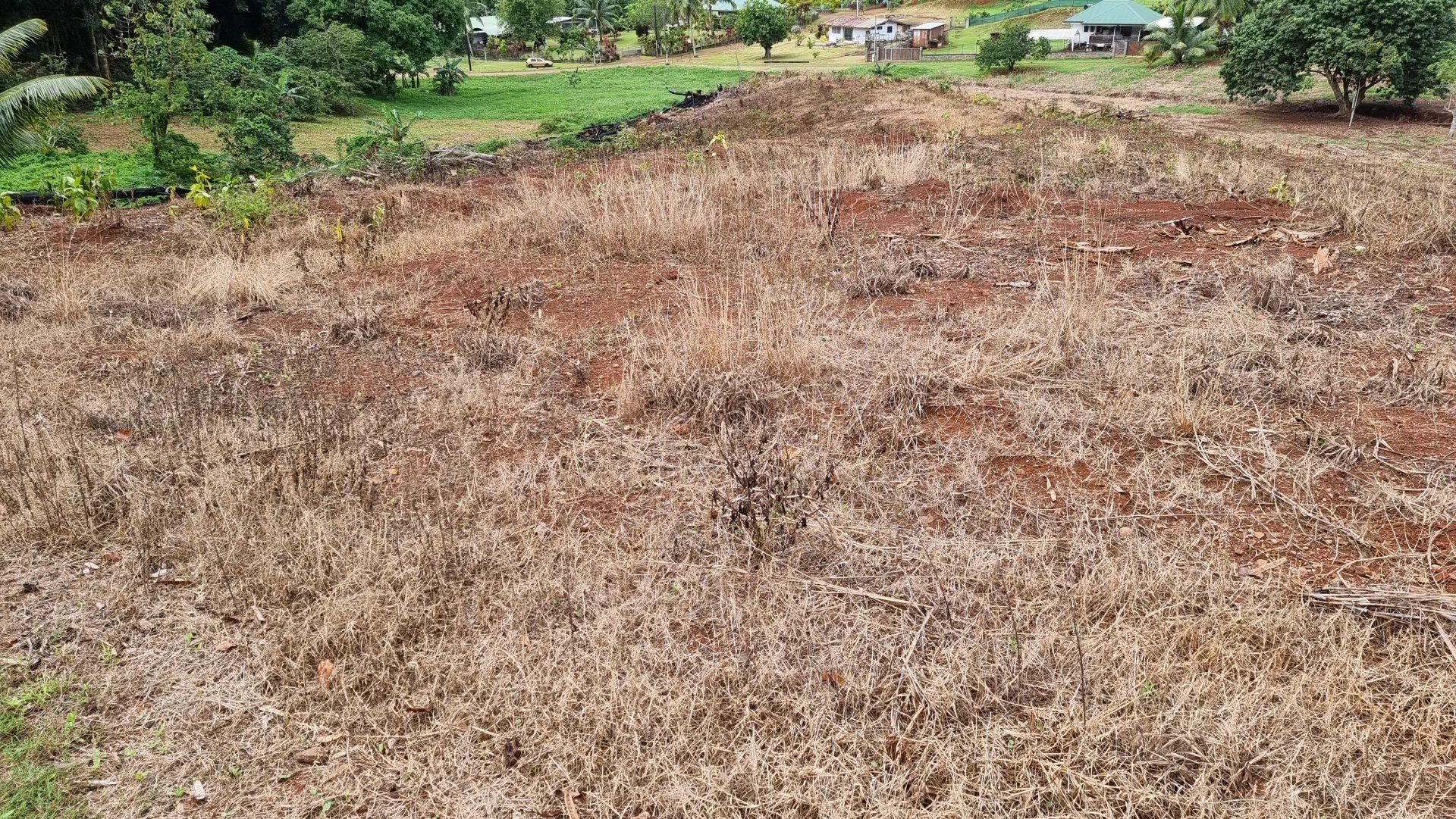 Tanah dalam Papeete, Îles du Vent 12558670