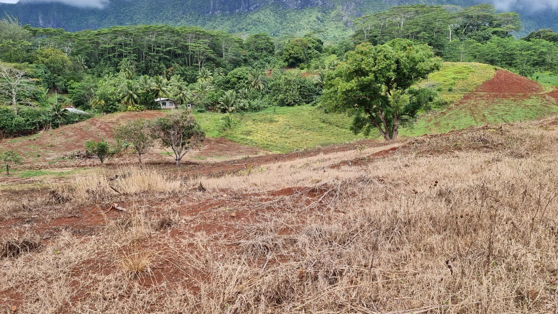 Land in Papeete, Îles du Vent 12558670