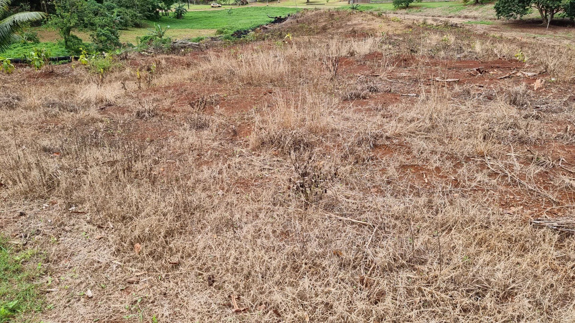 Land i Papeete, Îles du Vent 12558671