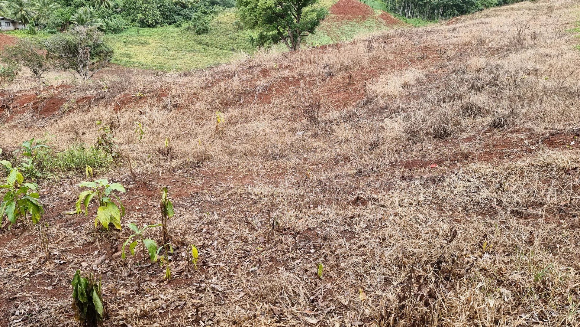 Land in Papeete, Îles du Vent 12558671