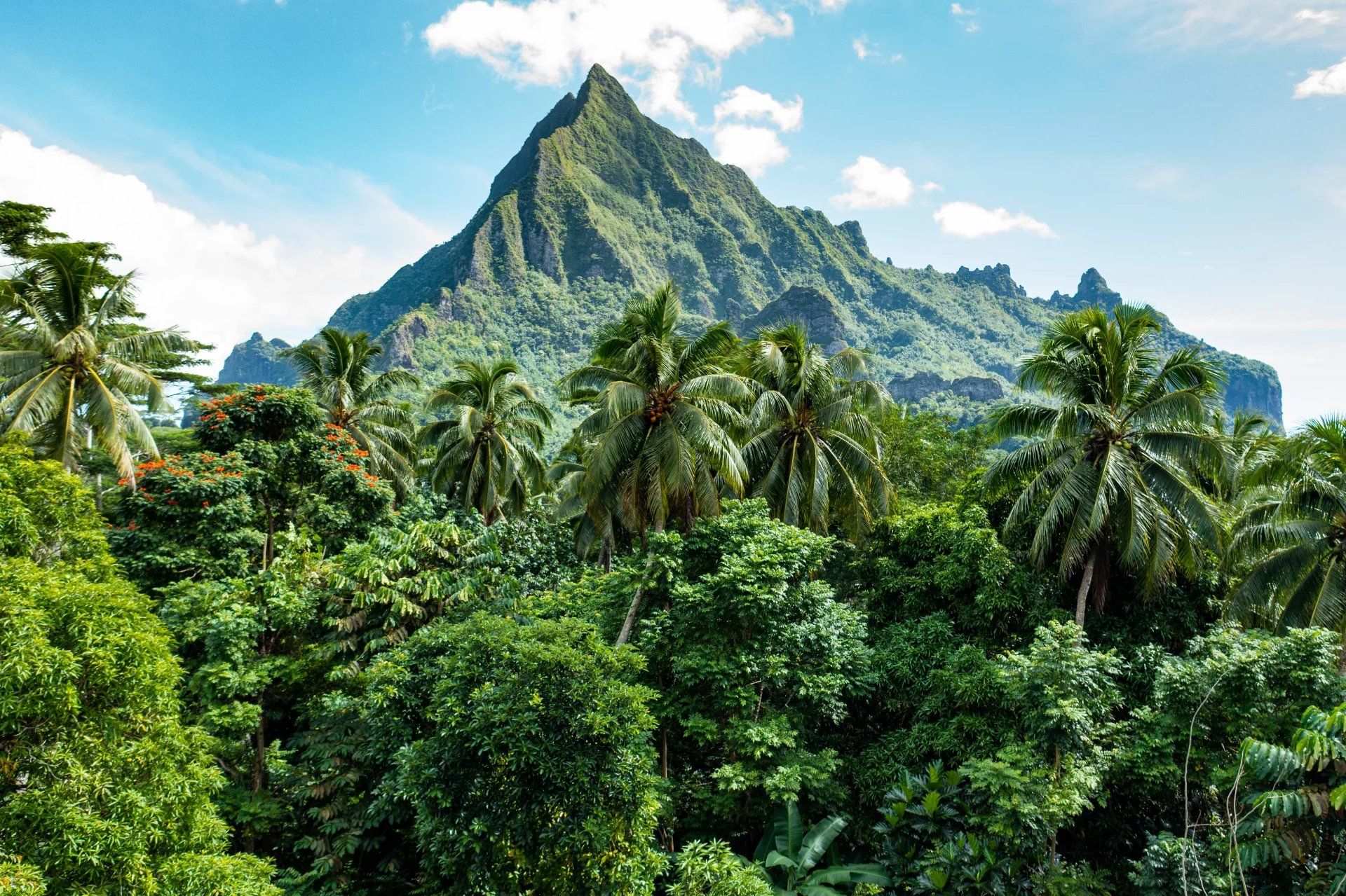 Wylądować w Moorea-Maiao, Îles du Vent 12558672