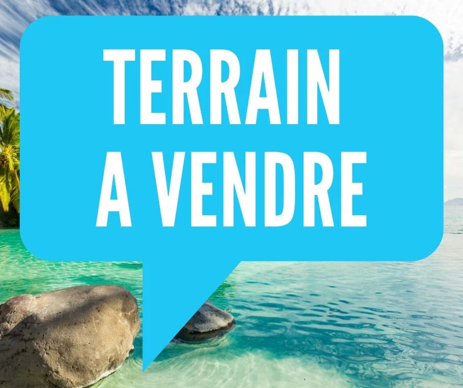 Terre dans Papeete, Iles du Vent 12558688