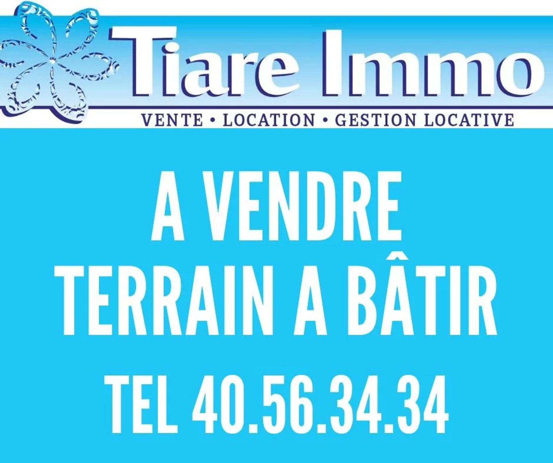 Terre dans Papeete, Iles du Vent 12558688