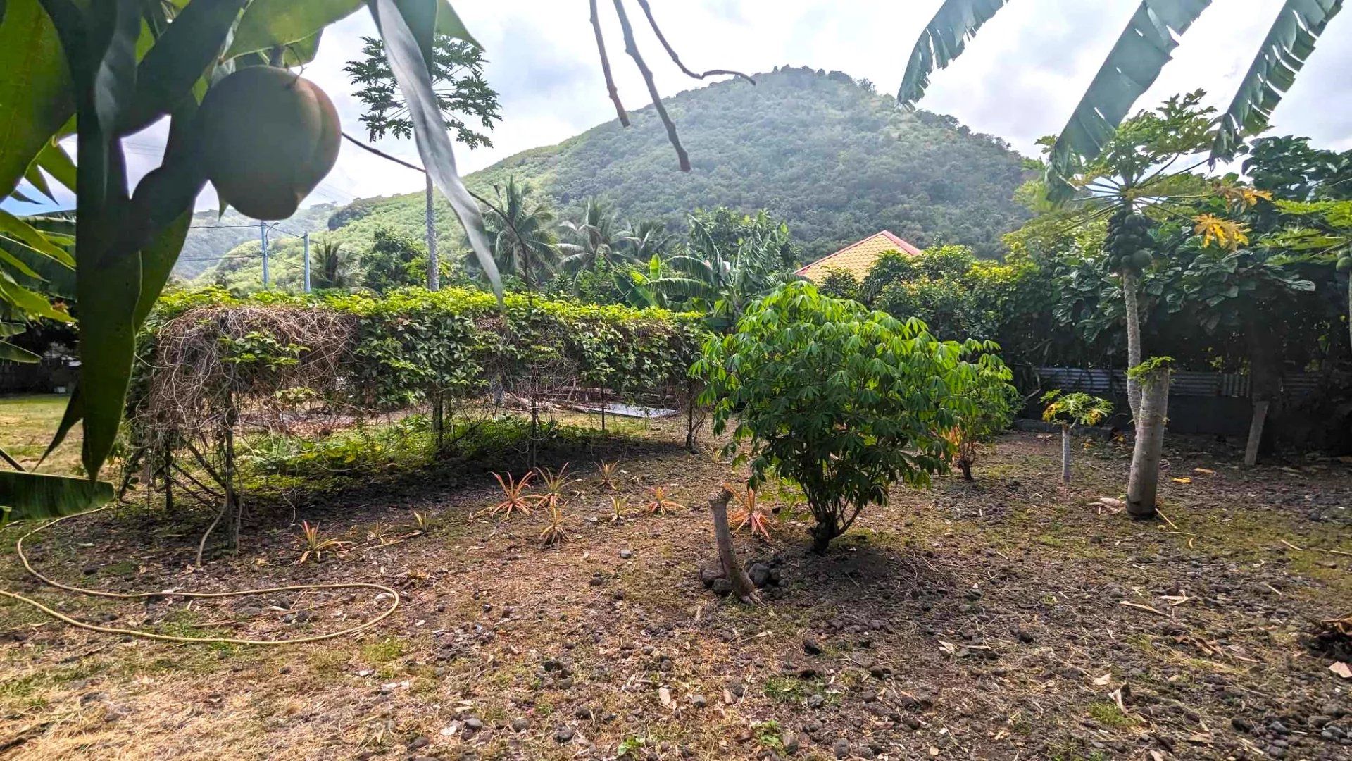 Tierra en Paea, Îles du Vent 12558689