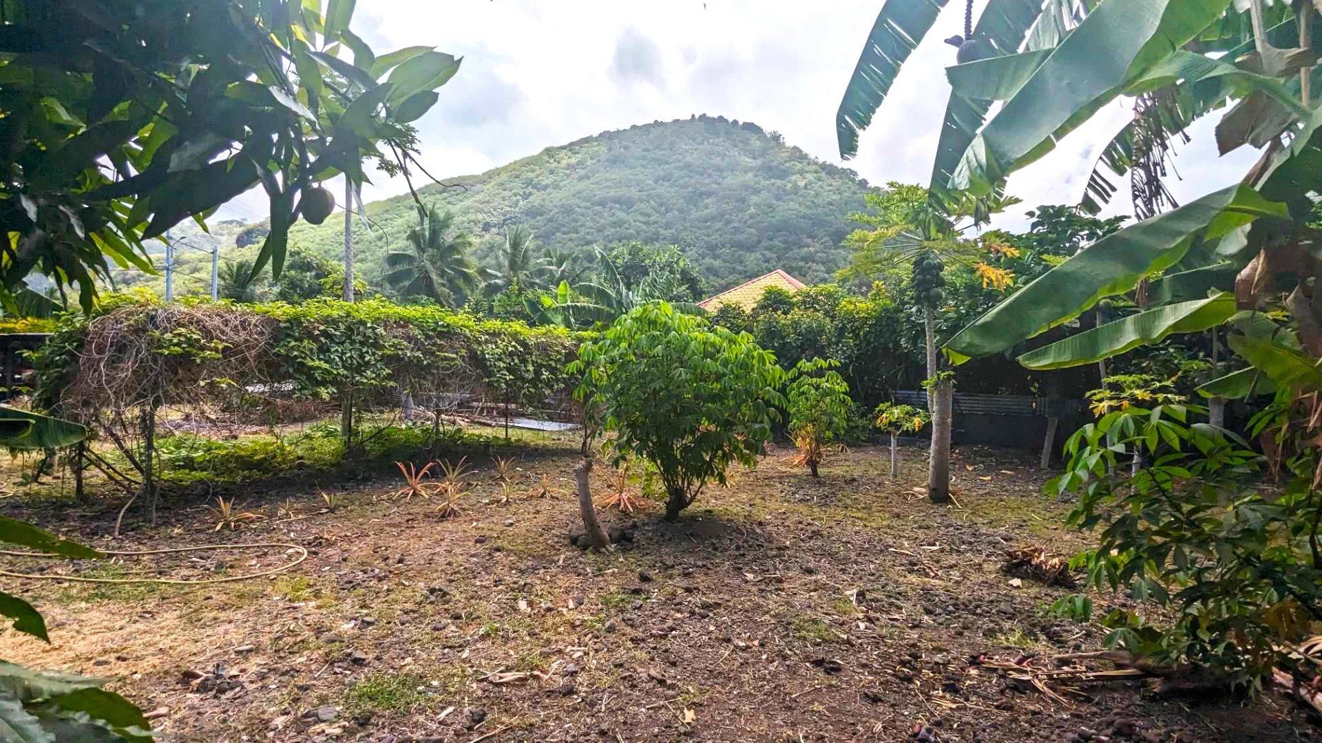 Tierra en Papeete, Islas del Vent 12558689