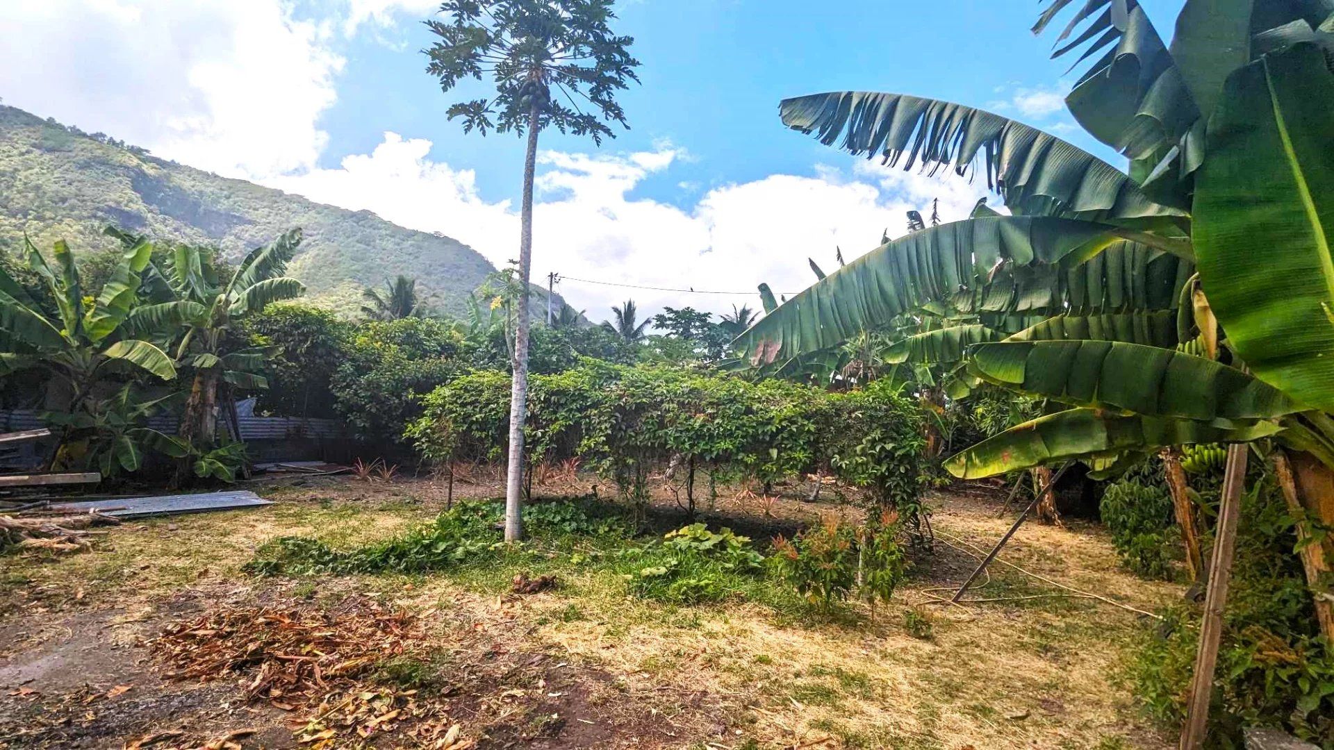 Terra no Papeete, Îles du Vent 12558689