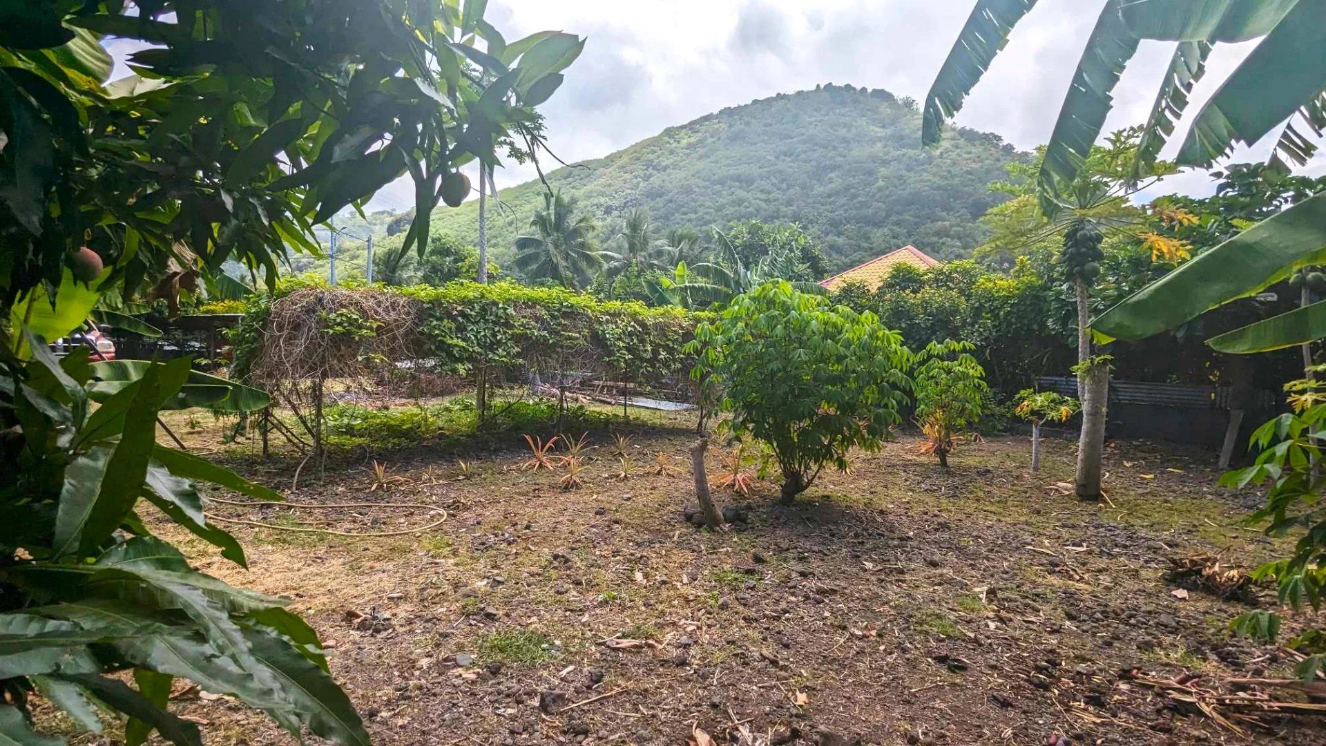 Terra no Papeete, Îles du Vent 12558689