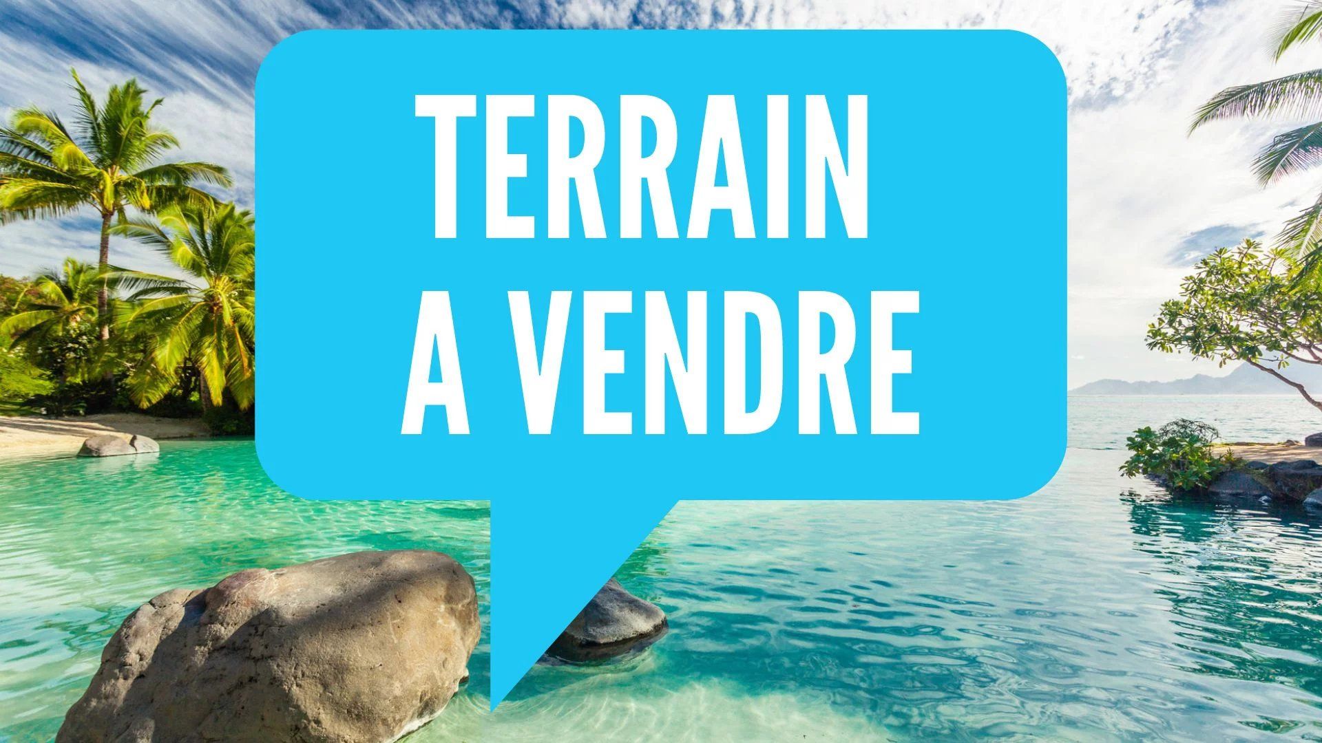 Terre dans Papeete, Iles du Vent 12558699