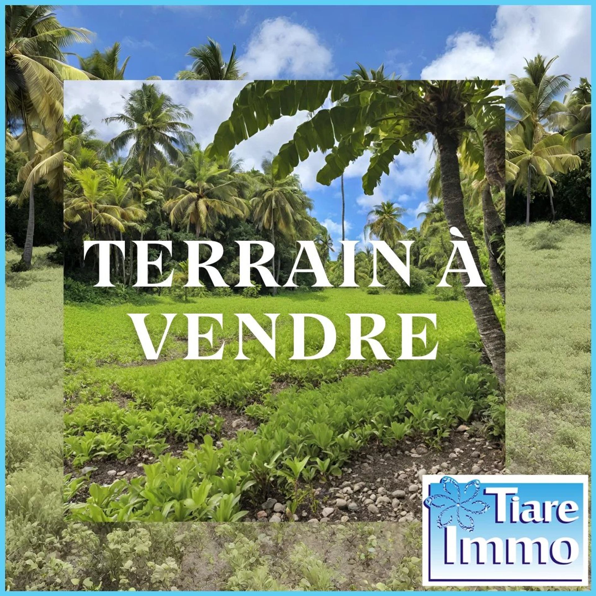 Tierra en Vaihi, Iles du Vent 12558703