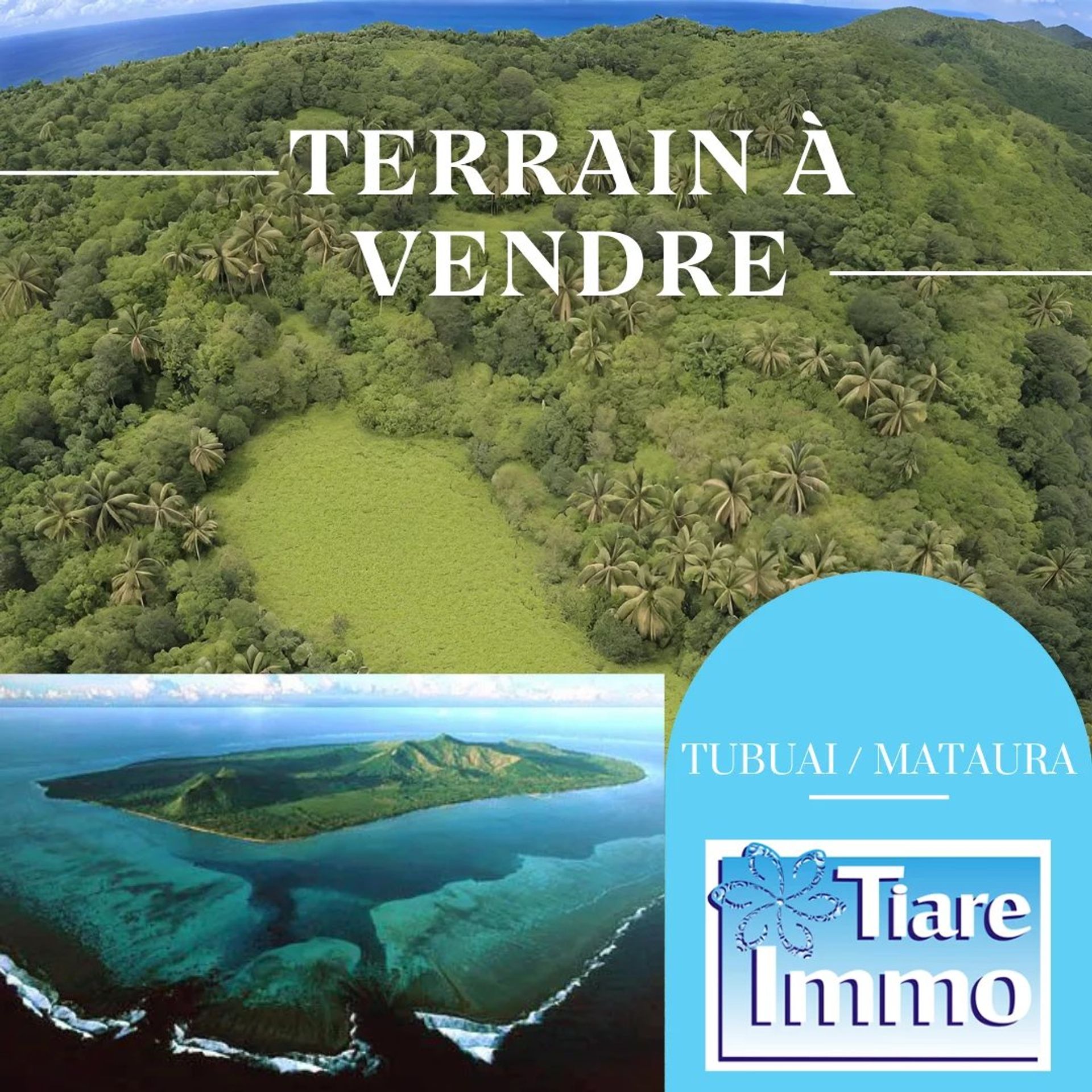 Tierra en Vaihi, Iles du Vent 12558705