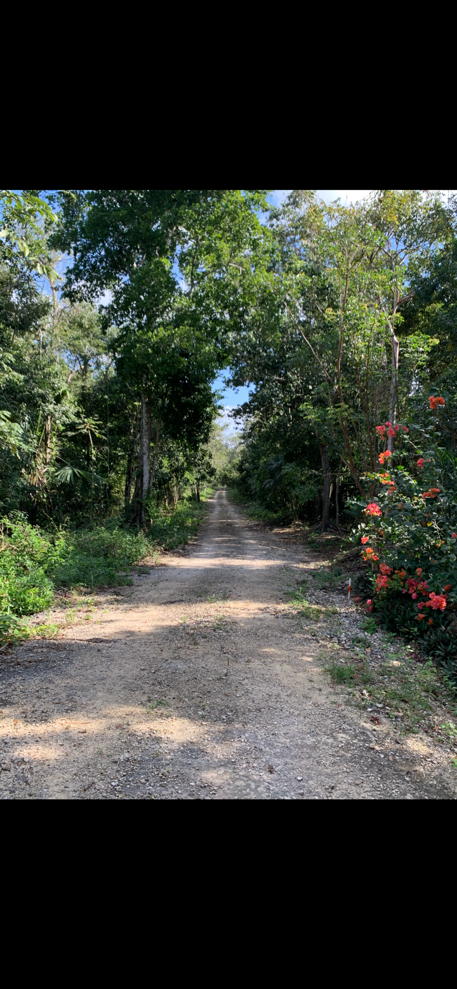 بيت في , Quintana Roo Puerto Morelos - Leona Vicario 12559843