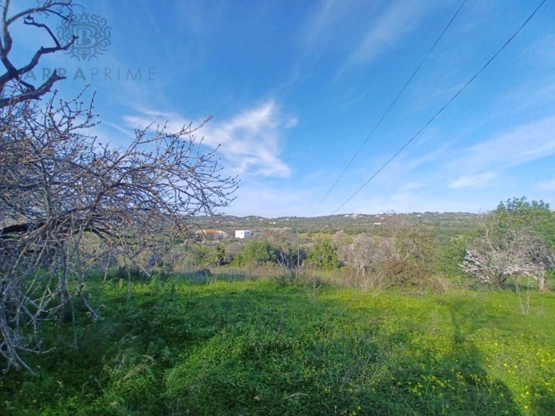 Land in Loulé, Faro District 12560103