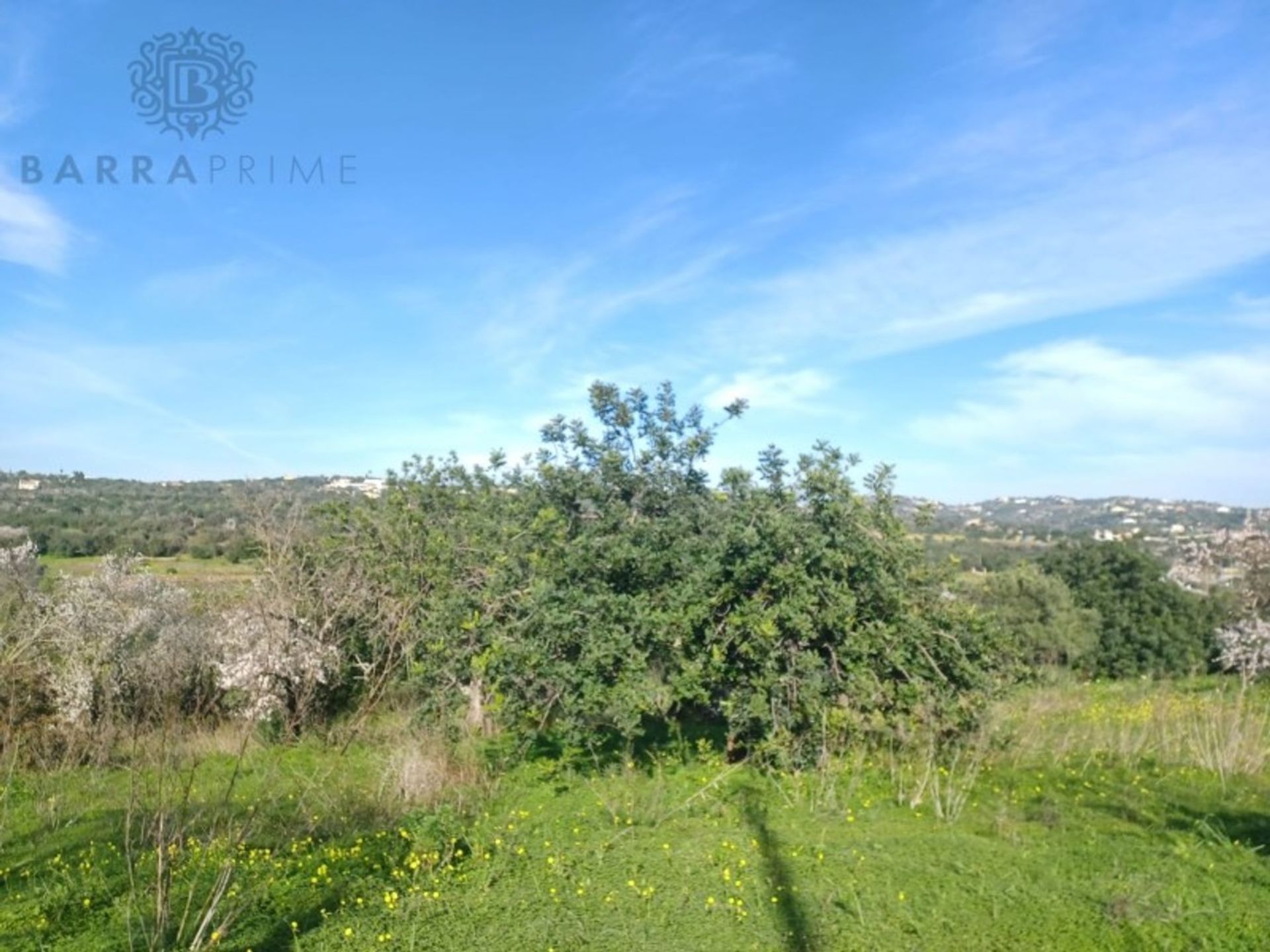 Land in Loulé, Faro District 12560103