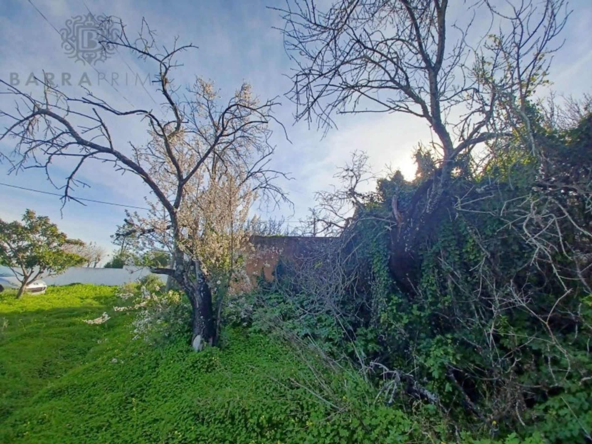 Land in Loulé, Faro District 12560103