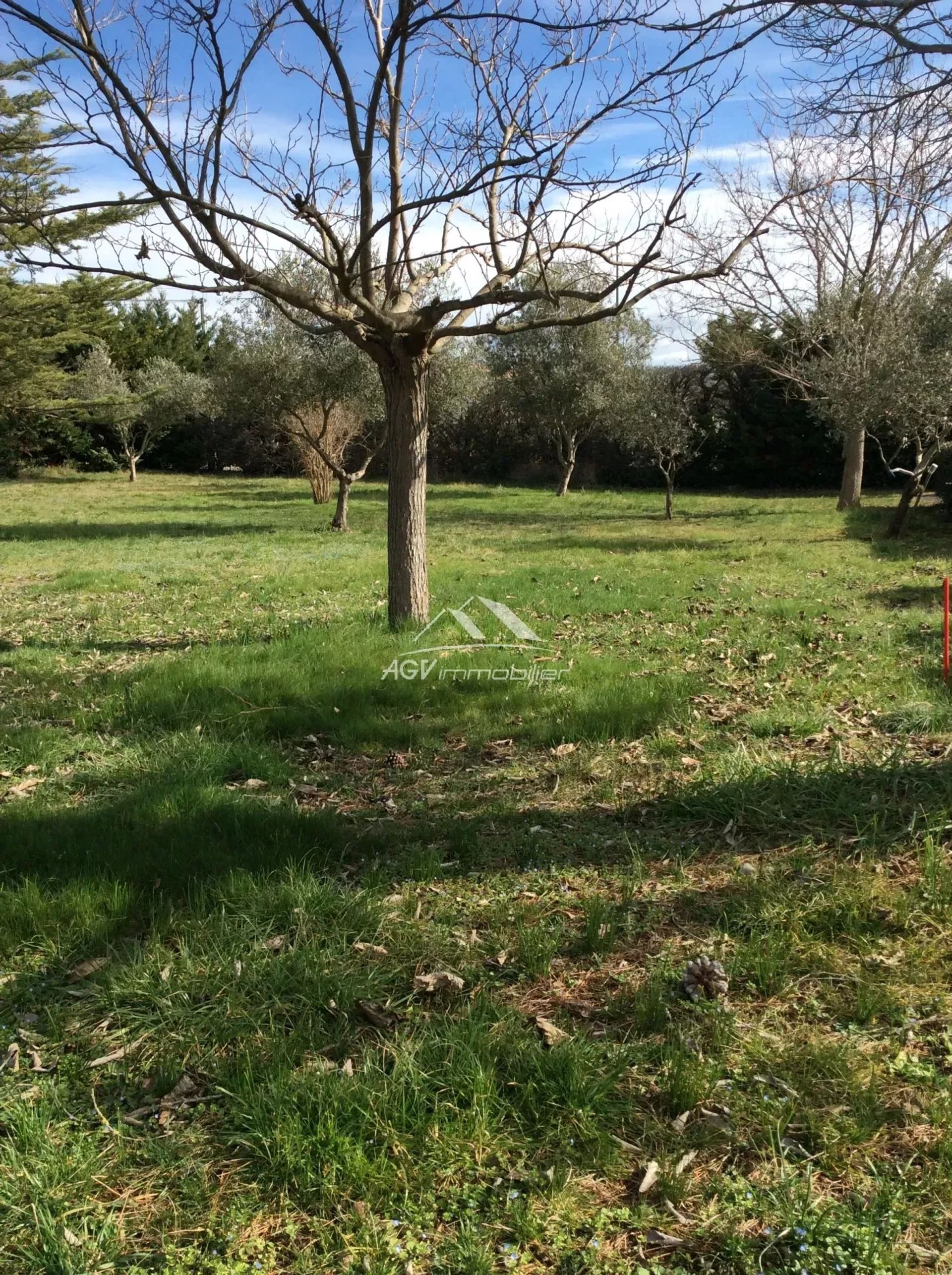 Terre dans Allègre-les-Fumades, Gard 12561014