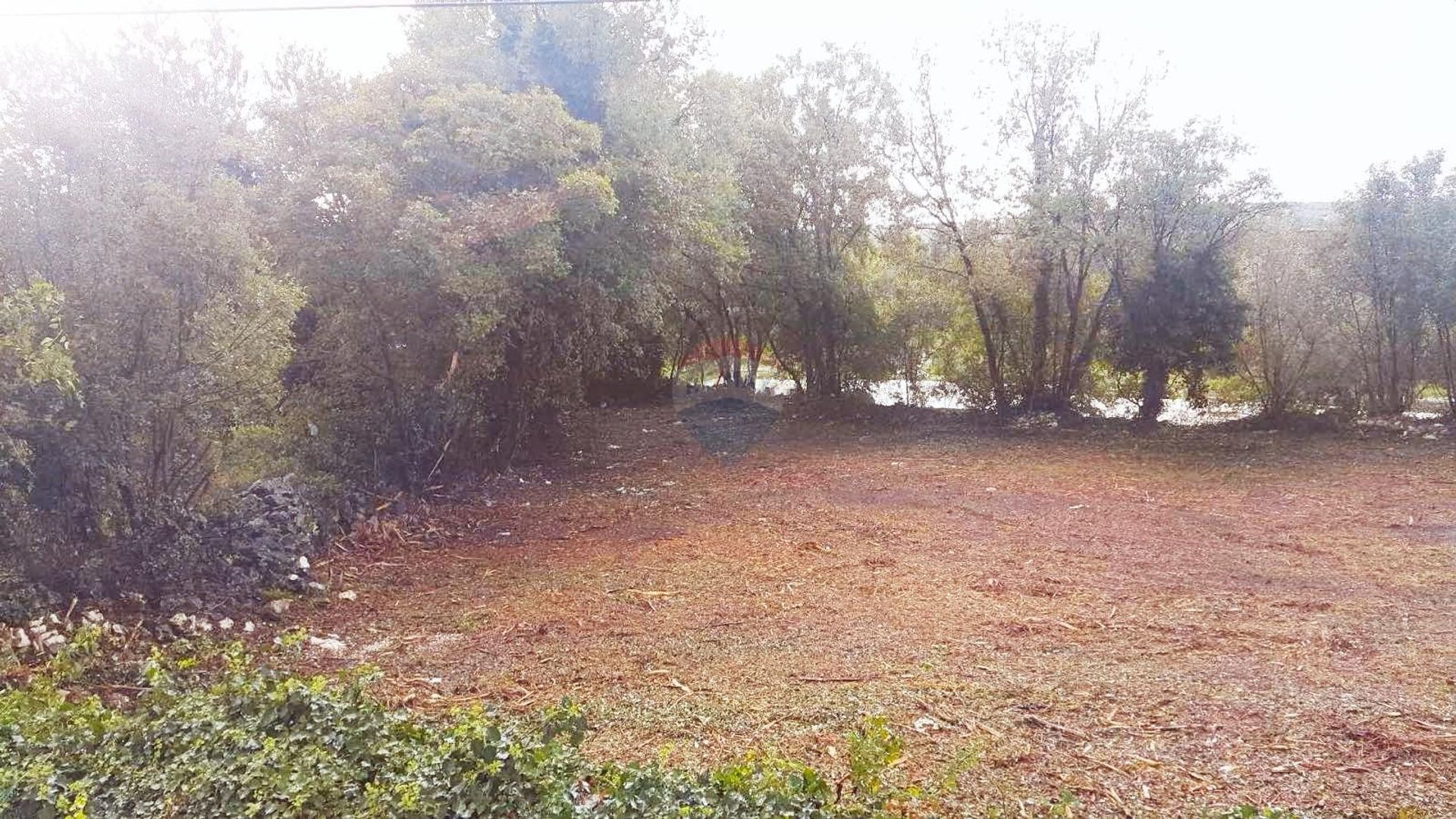 Land in Marcana, Istarska Zupanija 12570364