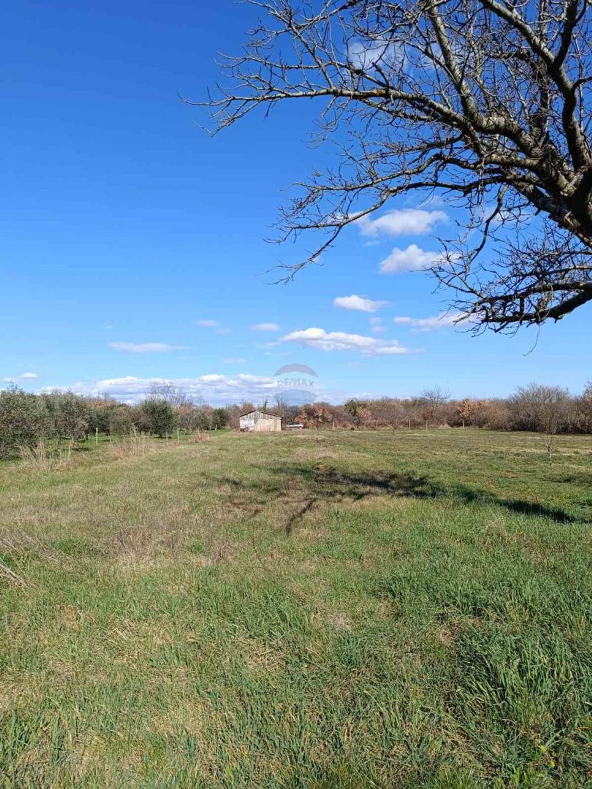 Land in Marcana, Istarska Zupanija 12570371