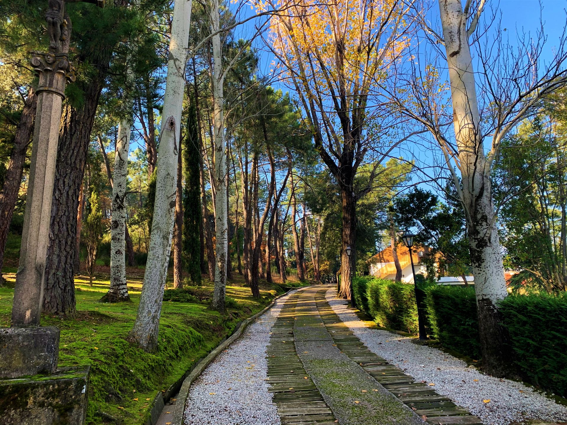 Hus i Guadarrama, Calle de los Escoriales 12574153