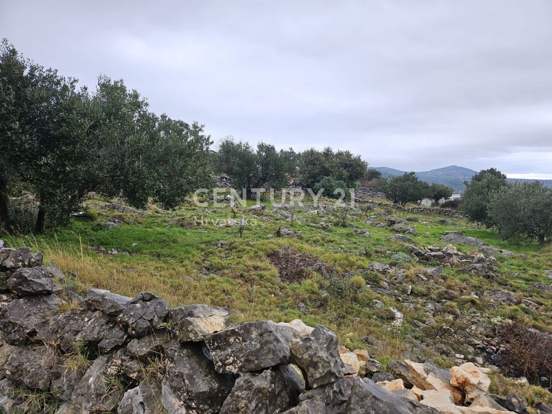 Land i Marina, Splitsko-Dalmatinska Zupanija 12574365