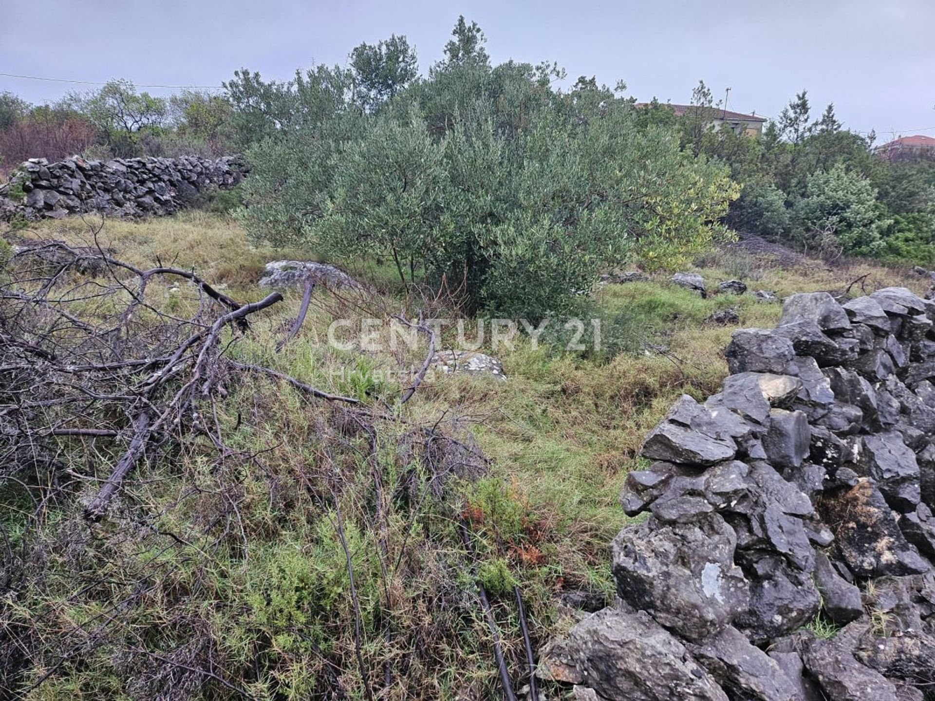 Land i Marina, Splitsko-dalmatinska županija 12574369