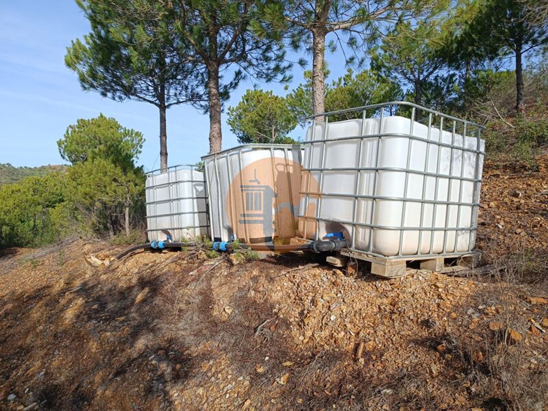 Tierra en Castro Marim, Faraón 12580068