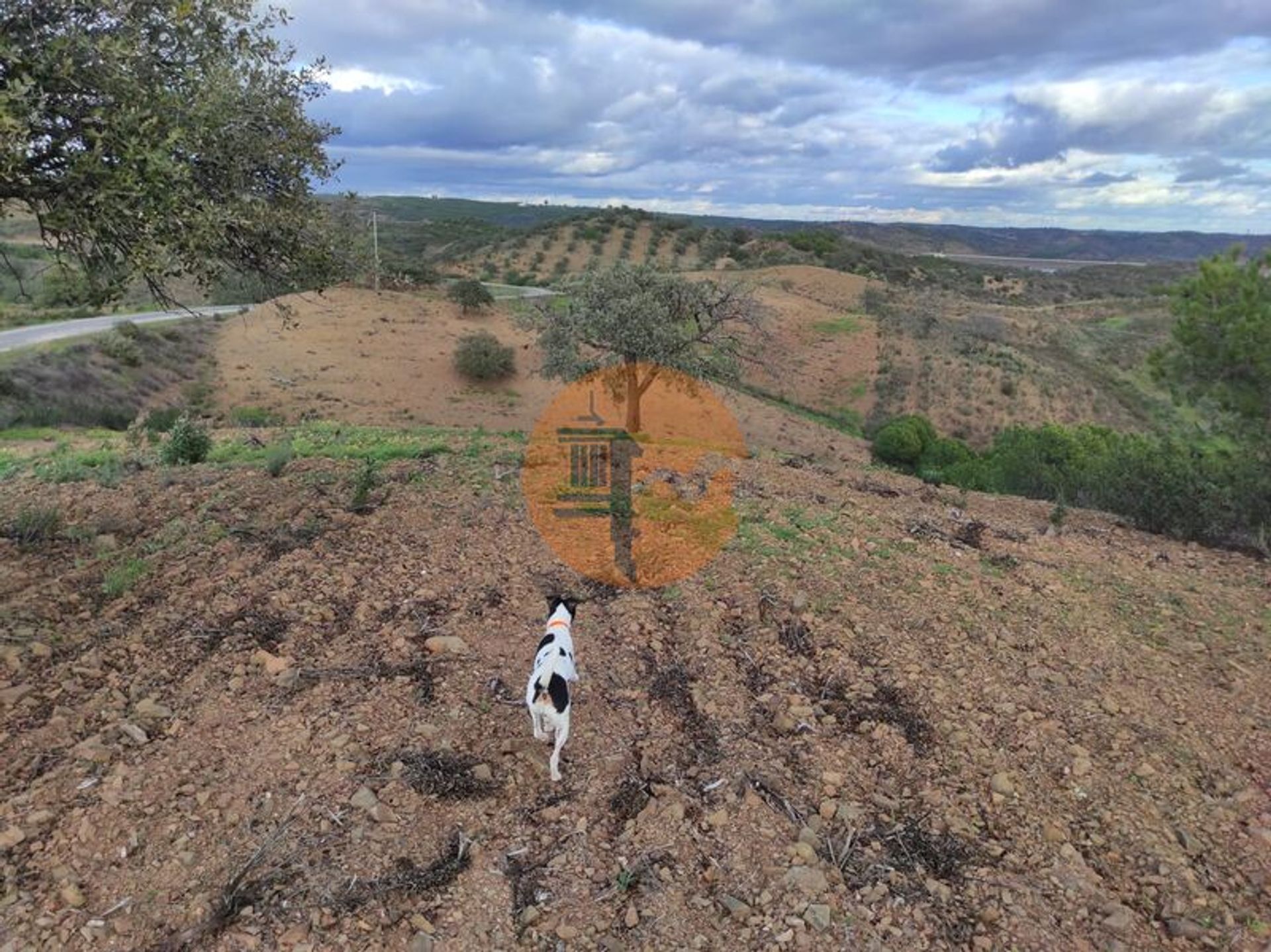 Tierra en Castro Marim, Faraón 12580292