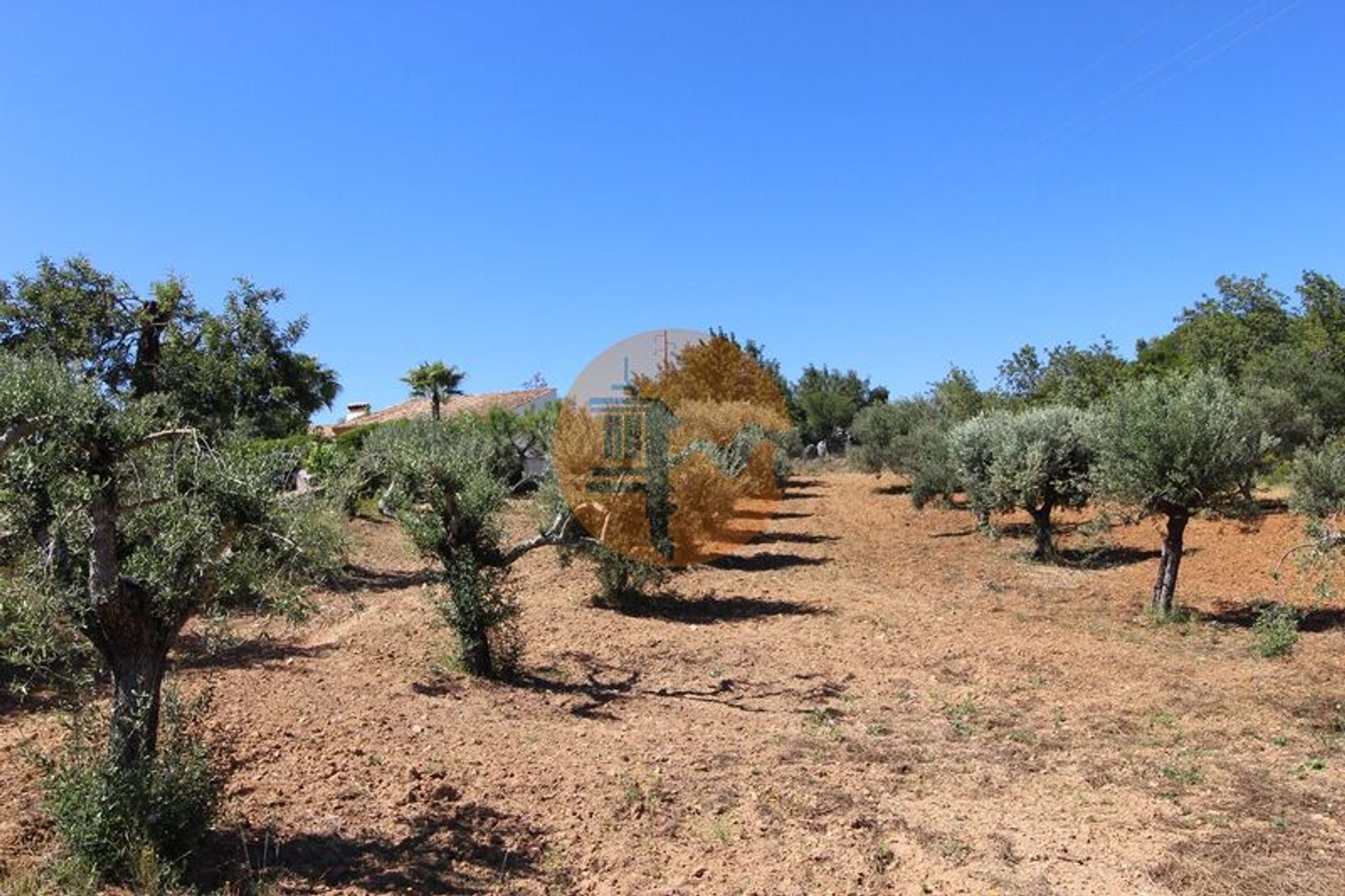 ארץ ב סאו בראס דה אלפורטל, פארו 12580430