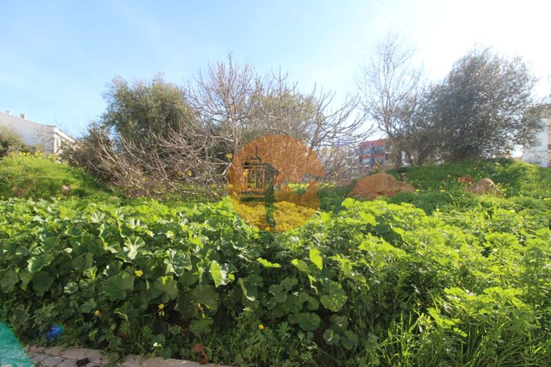 Land in Faro, Faro District 12580443