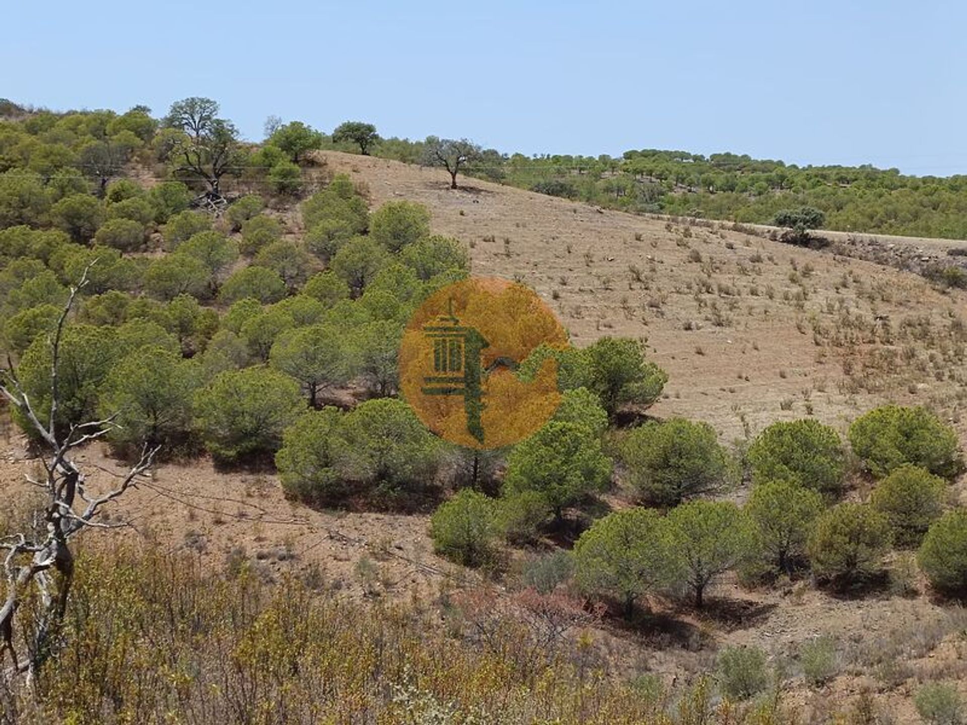 ארץ ב קסטרו מרים, פארו 12580553