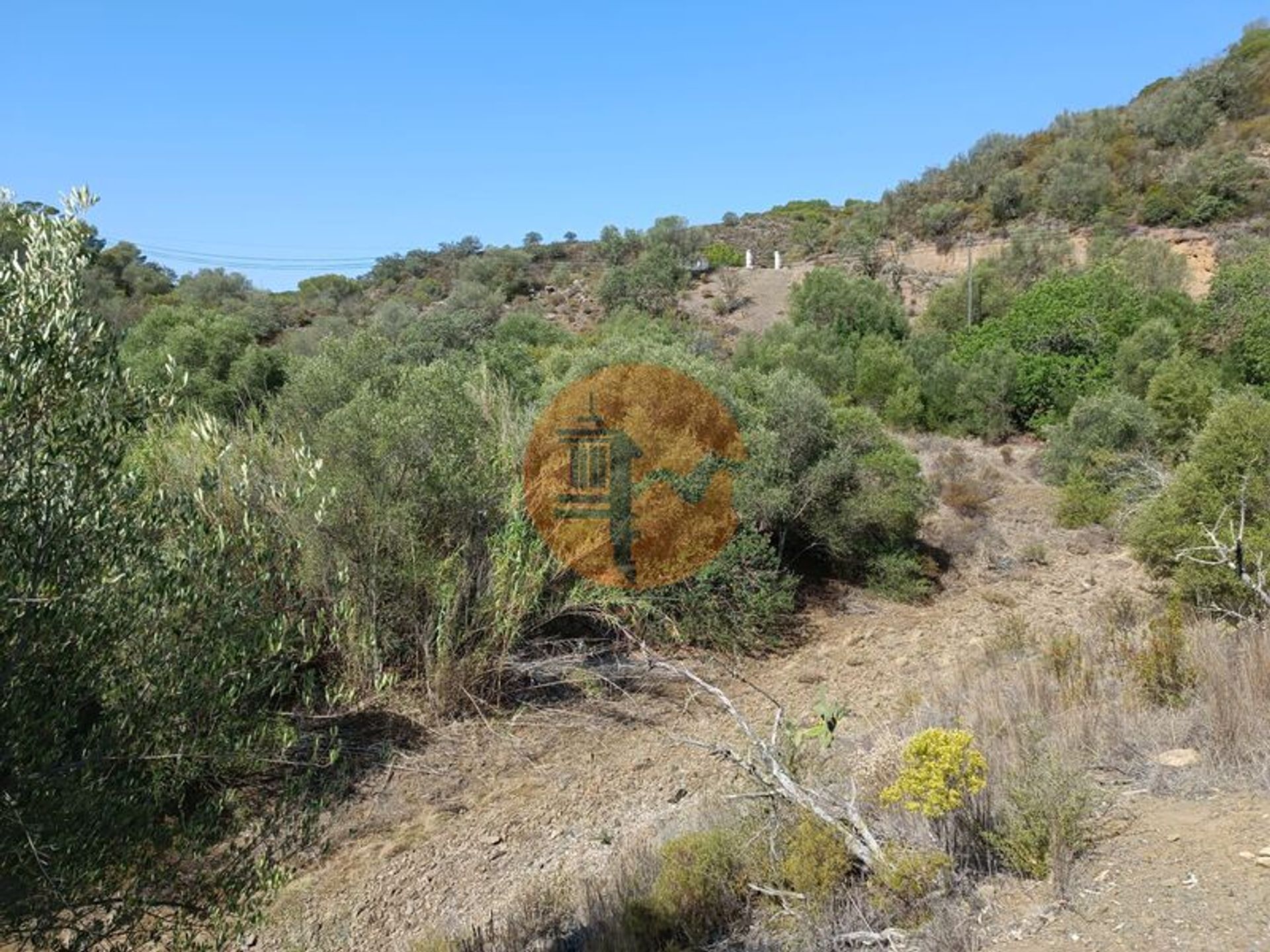 Terre dans Castro Marim, Faro 12580557