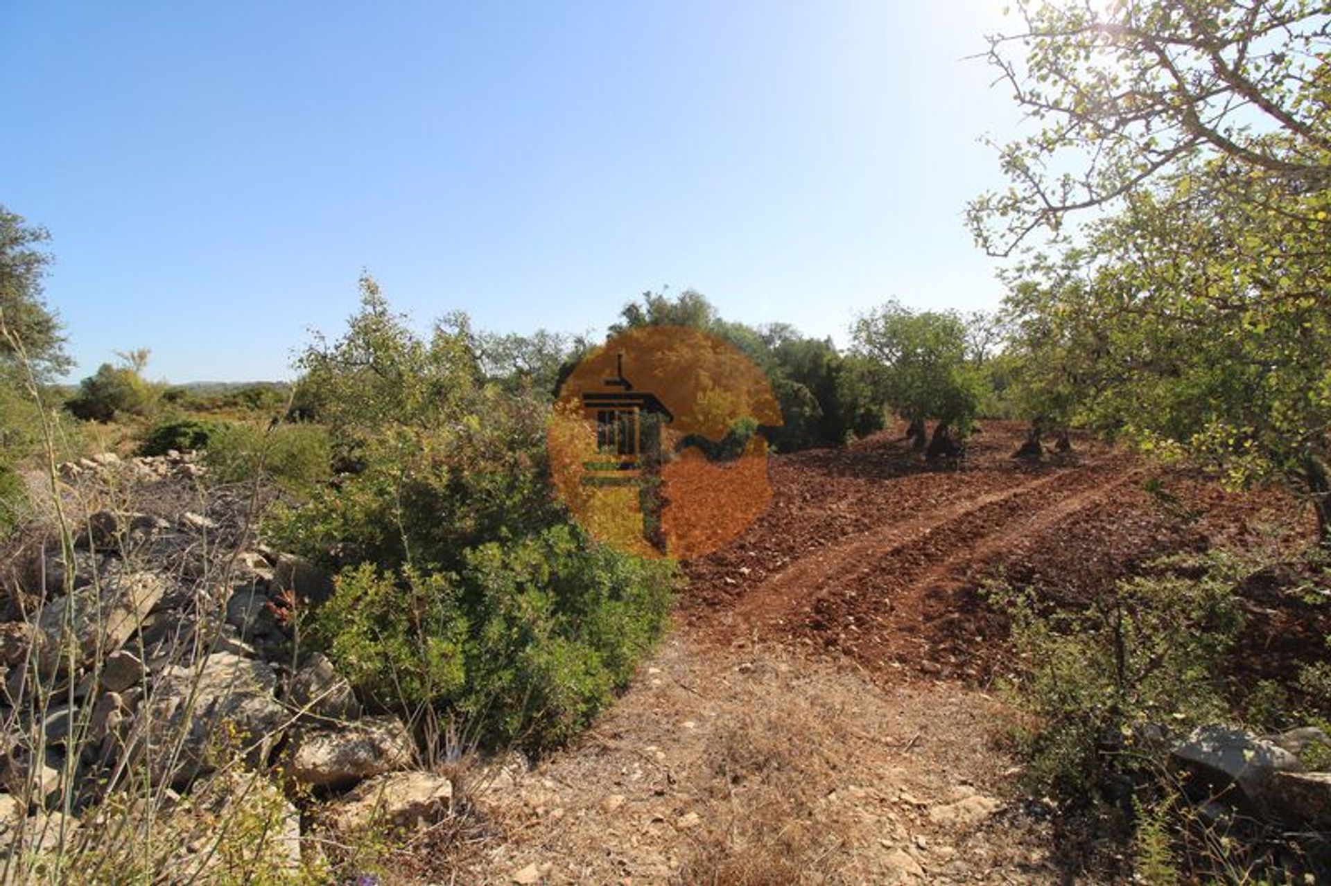 Tierra en Faro, Faro District 12580559