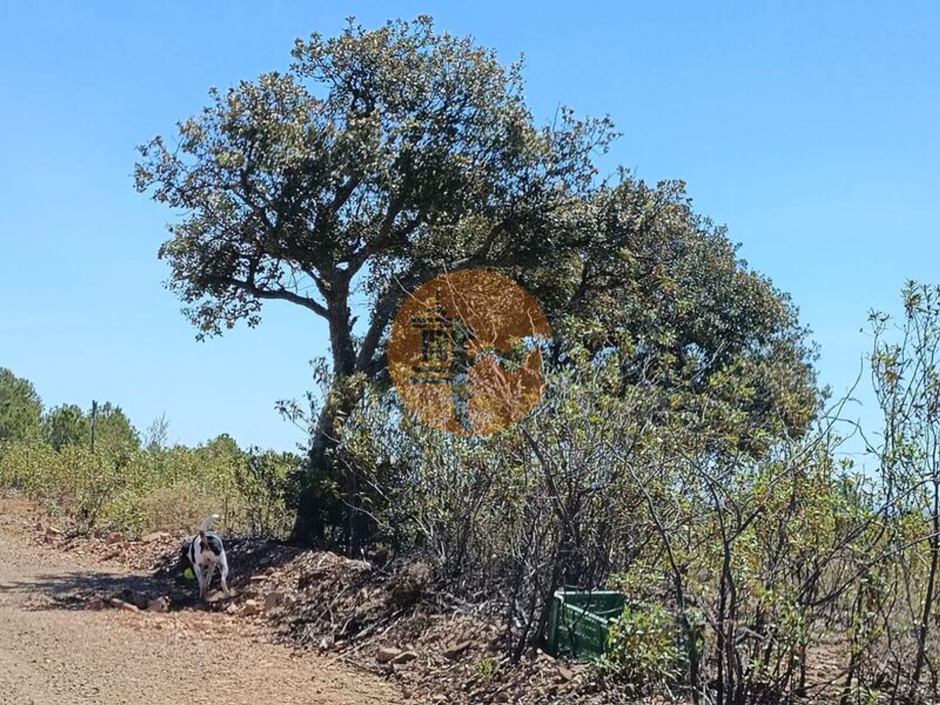 Tierra en Castro Marim, Faro District 12580599