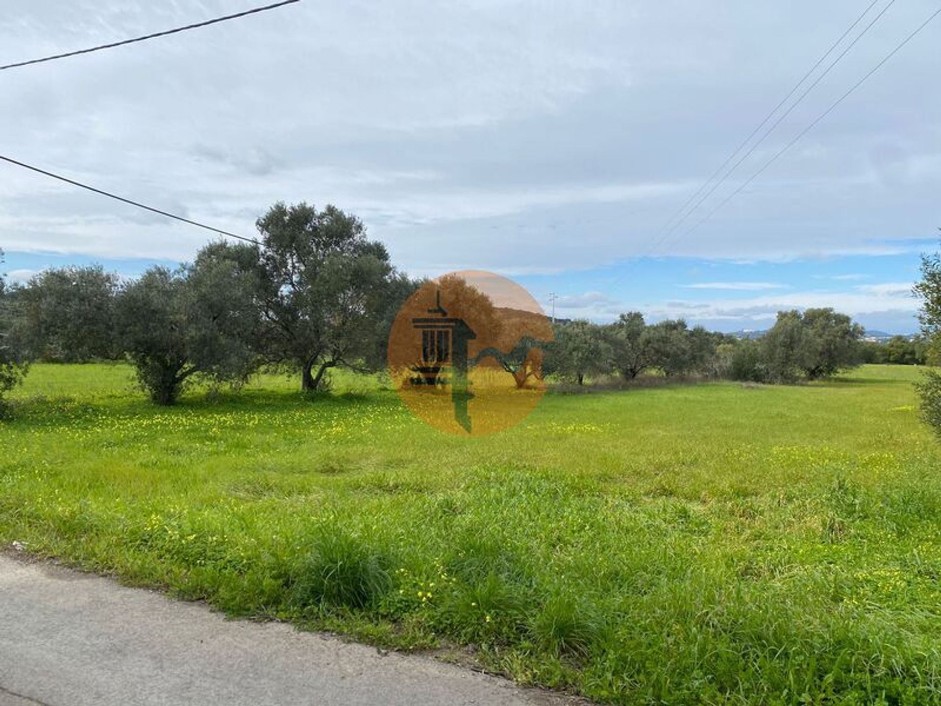 土地 在 São Brás de Alportel, Faro District 12580630