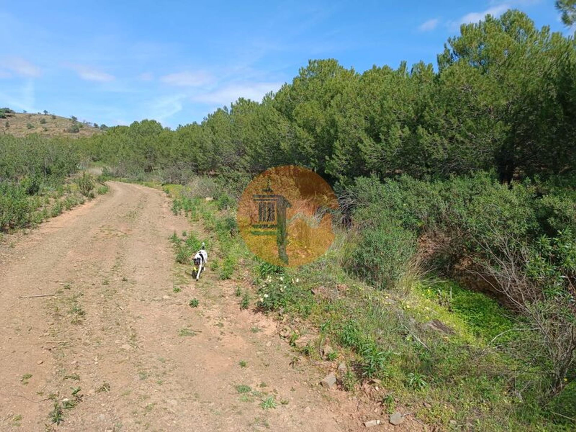 Land in Castro Marim, Faro District 12580663