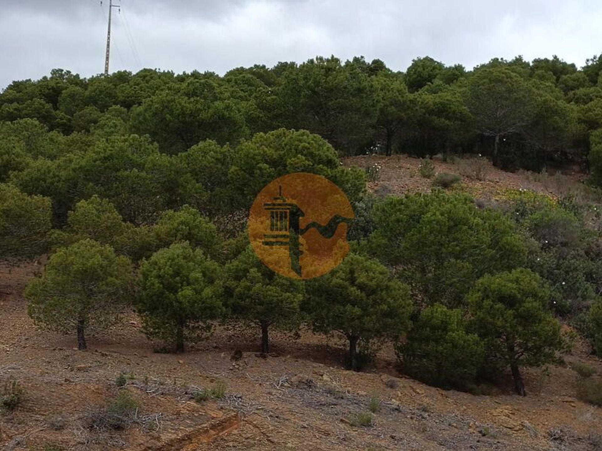 Land in Castro Marim, Faro District 12580665