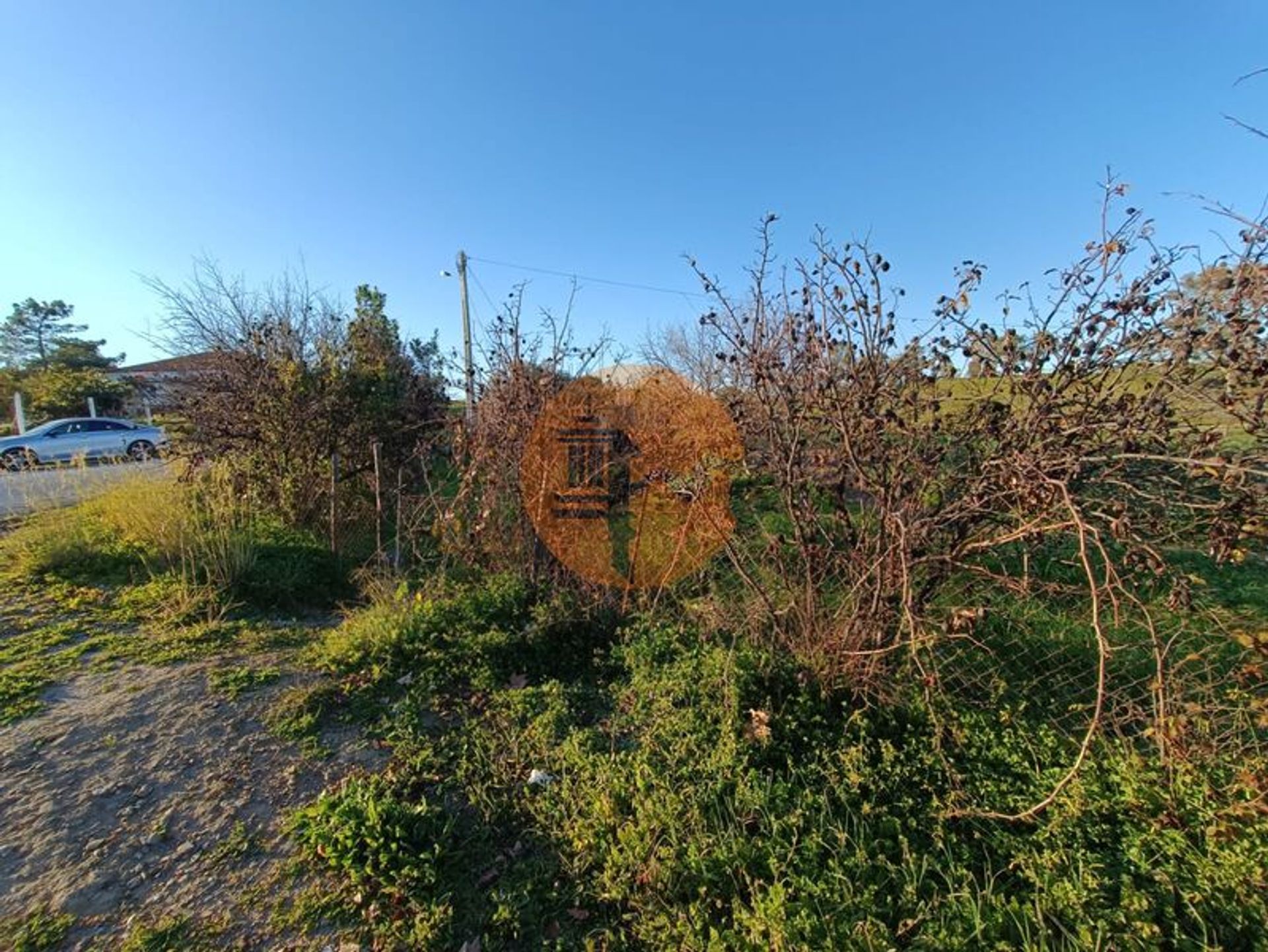 Tierra en Castro Marim, Faraón 12580669