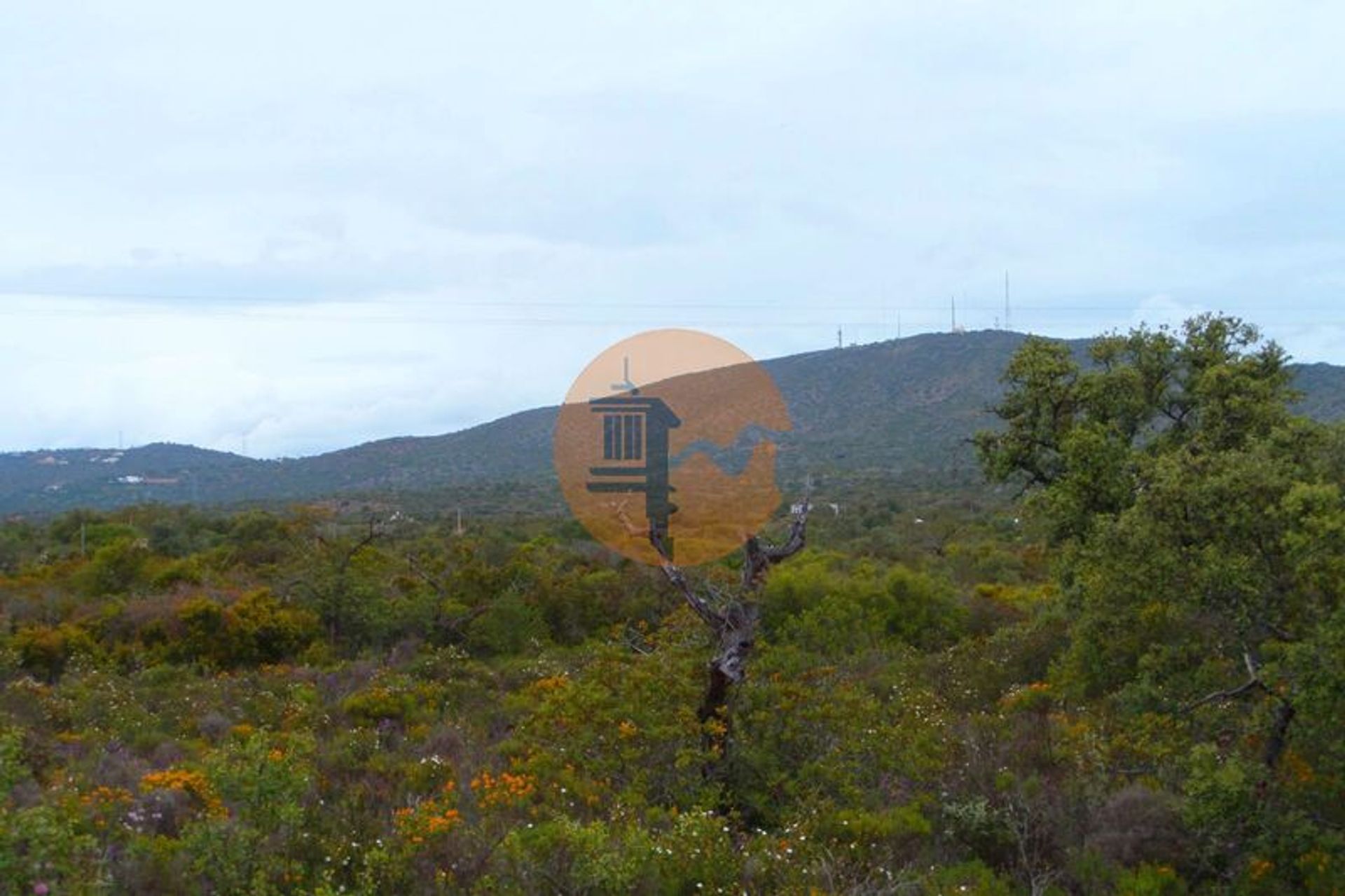 Land in Olhão, Faro District 12580699