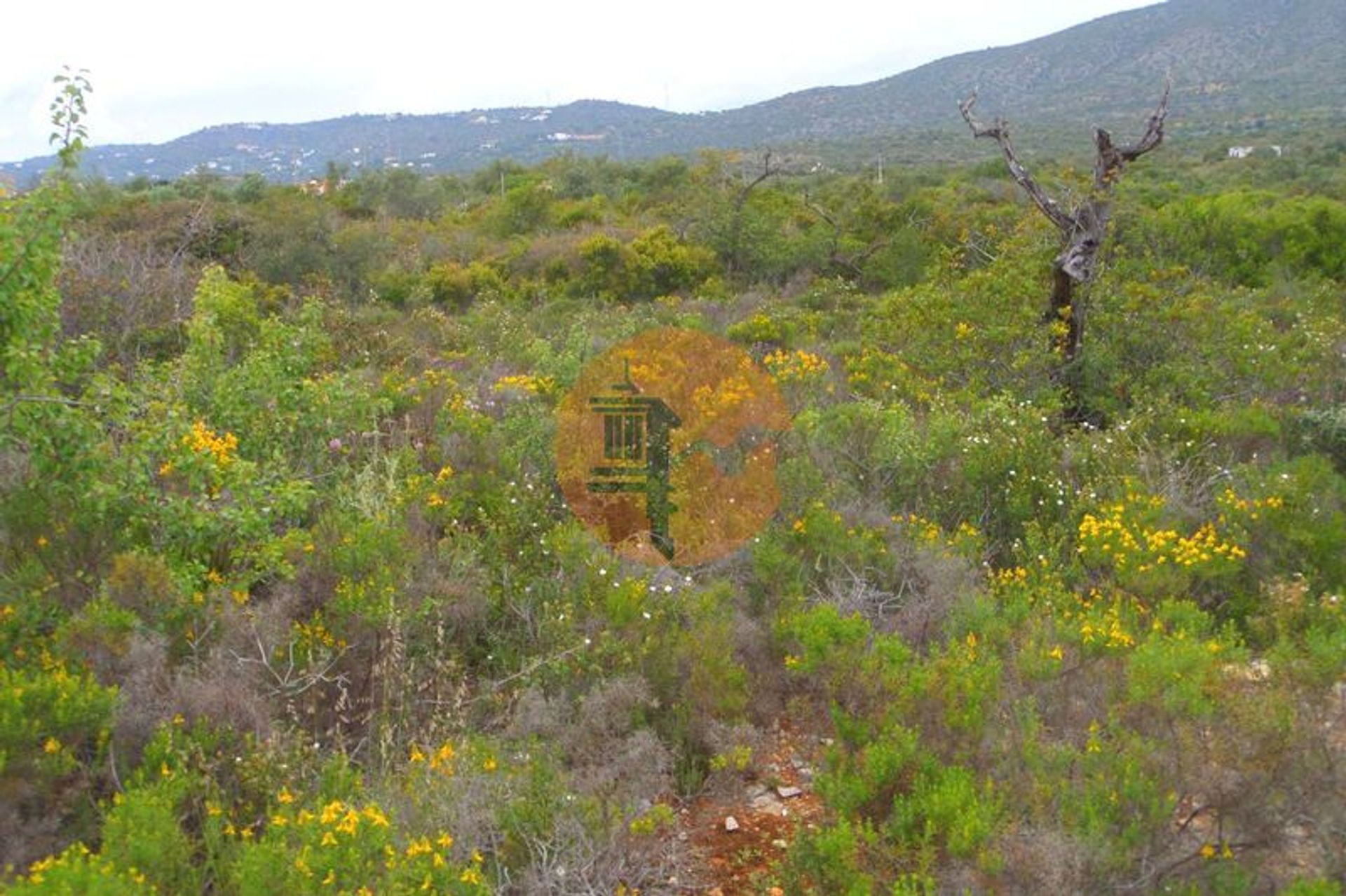 Land in Olhão, Faro District 12580699