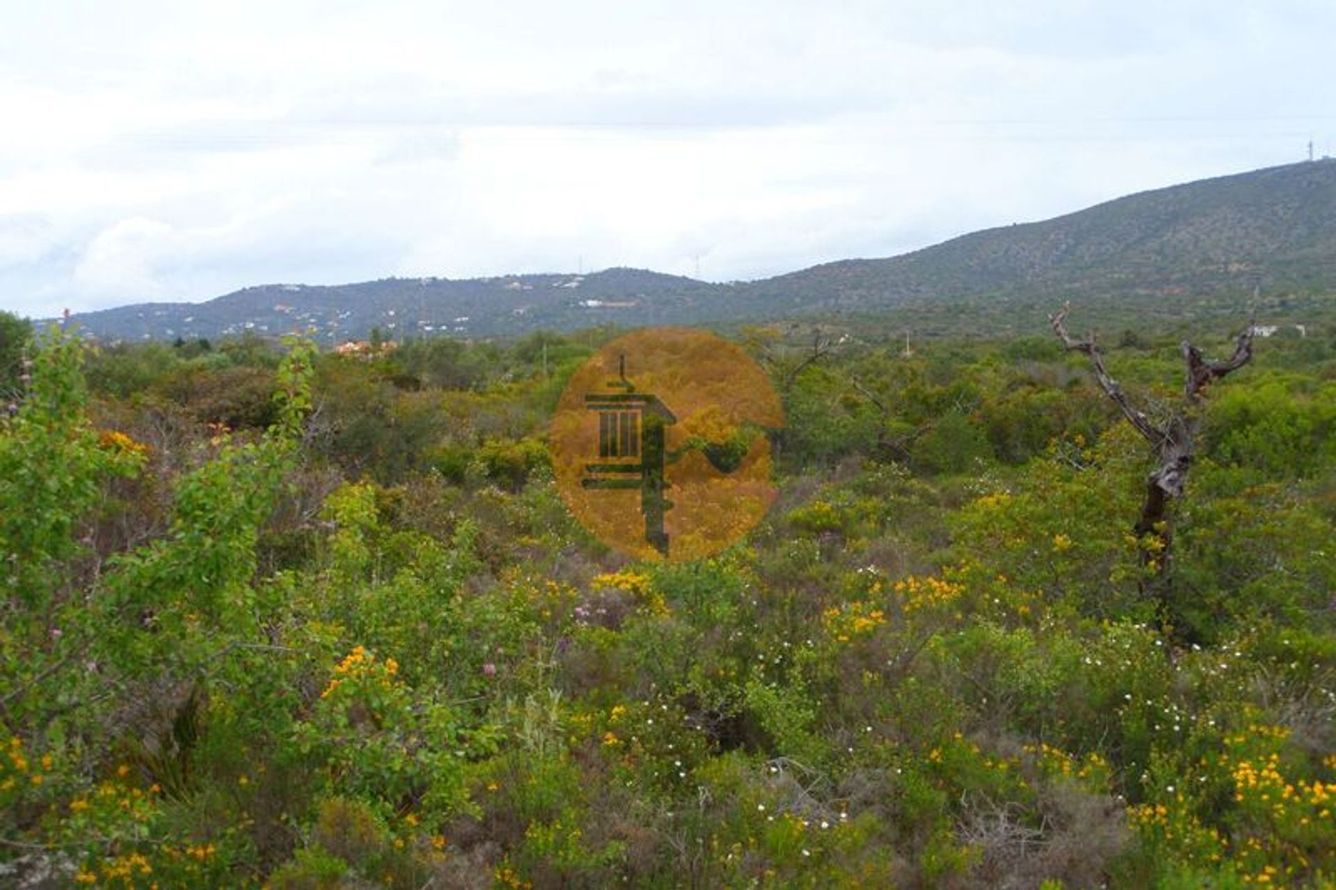 Land in Olhão, Faro District 12580699